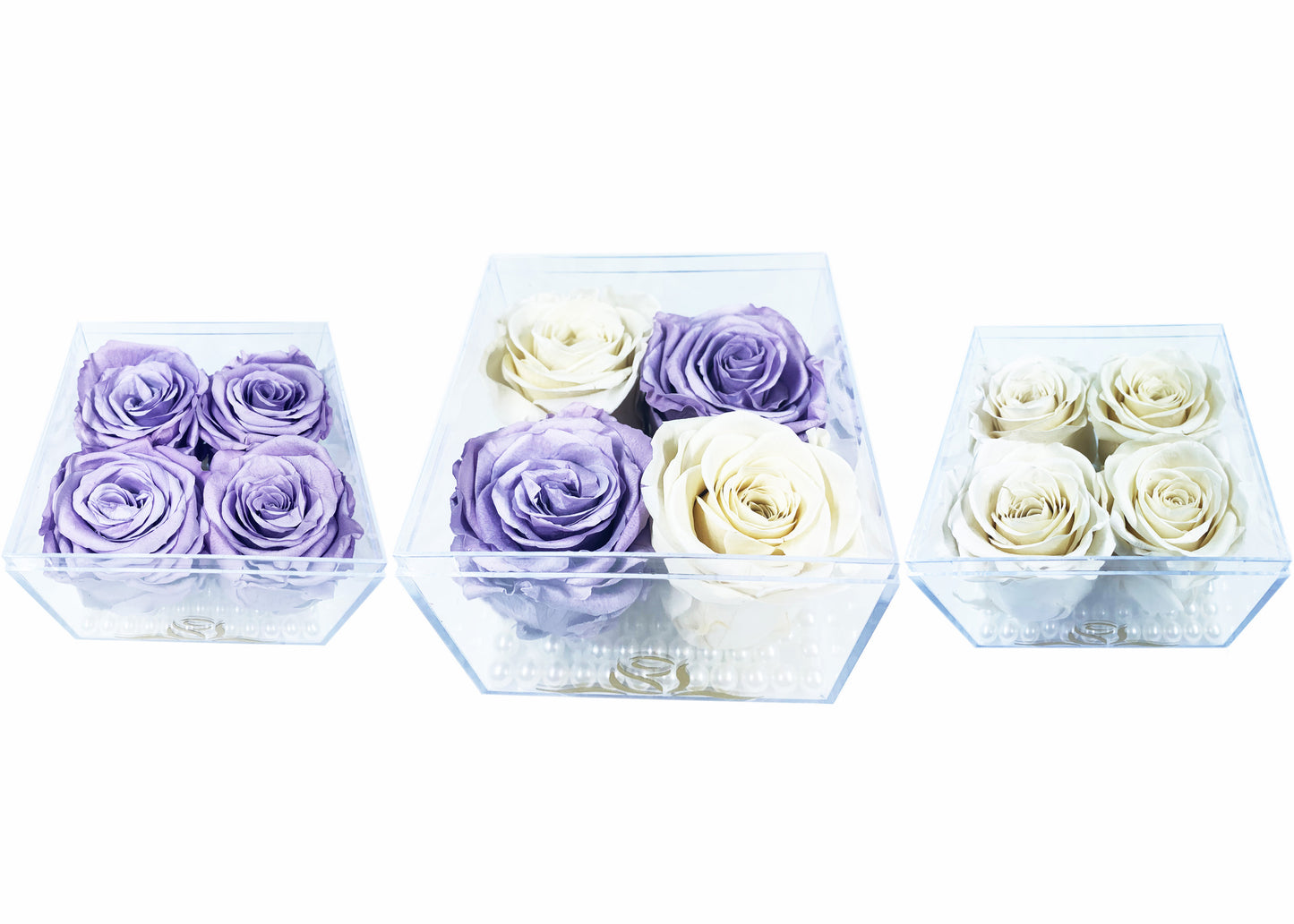Grande Cube - Four Preserved Roses - forever roses store