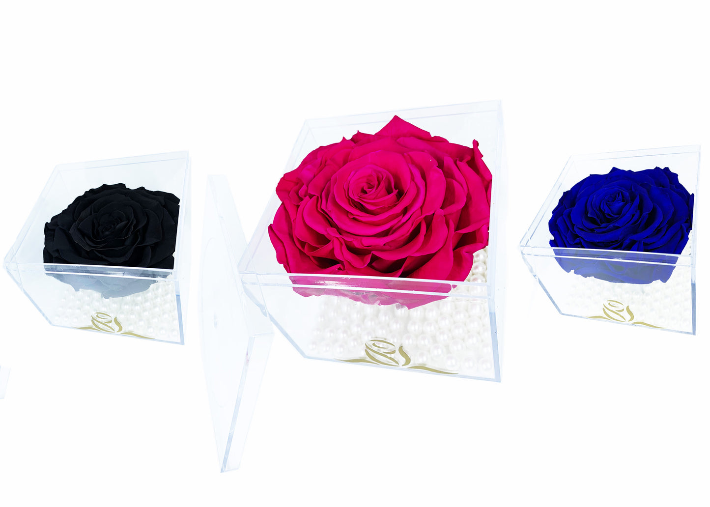 Grande Cube - Single Large Preserved Rose - forever roses store