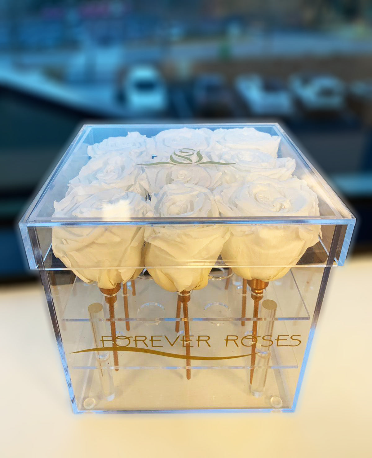 Acrylica Grande Box - Nine Preserved Roses - forever roses store