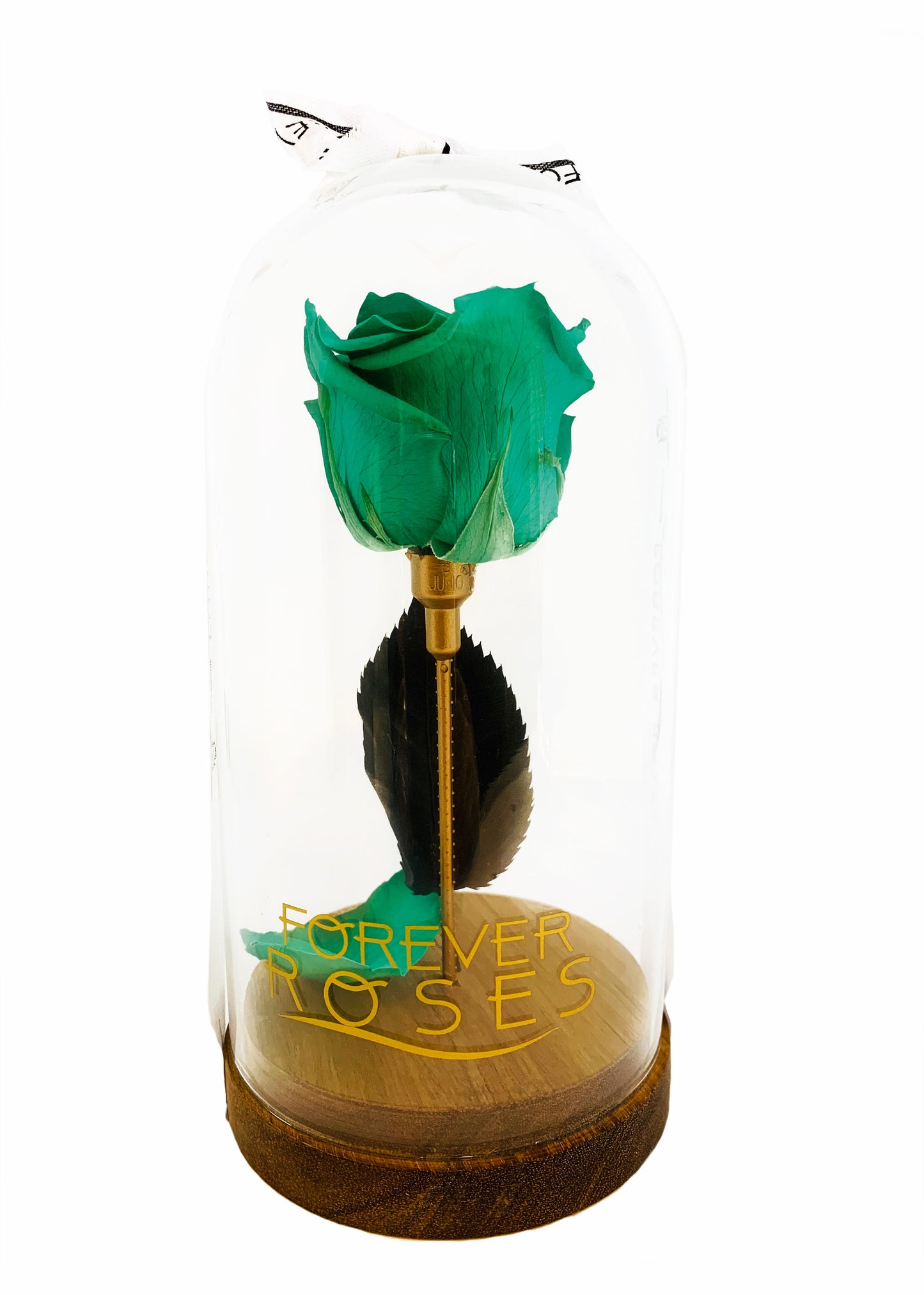 Glass Tall Dome - Single Preserve Rose - forever roses store