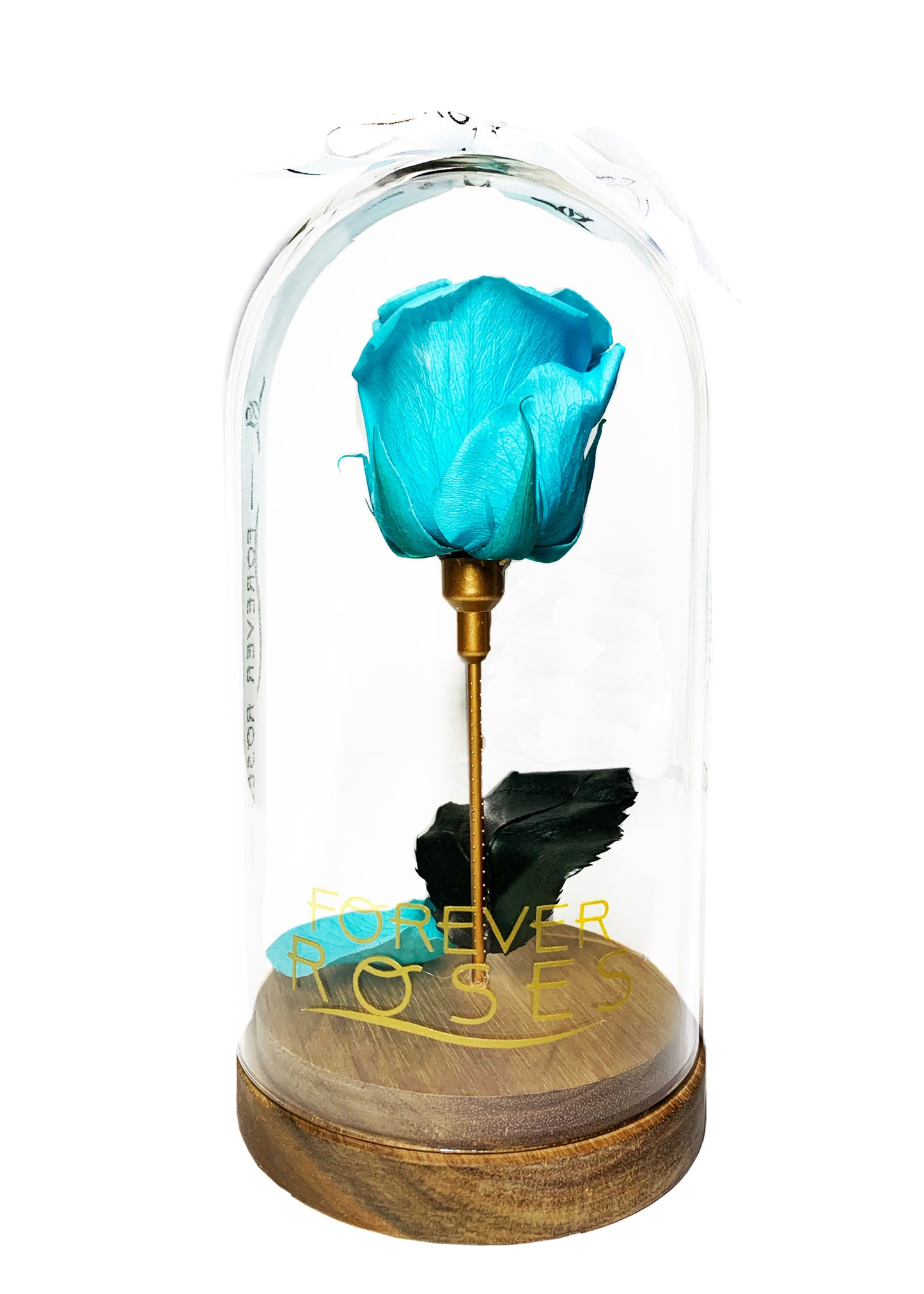 Glass Tall Dome - Single Preserve Rose - forever roses store