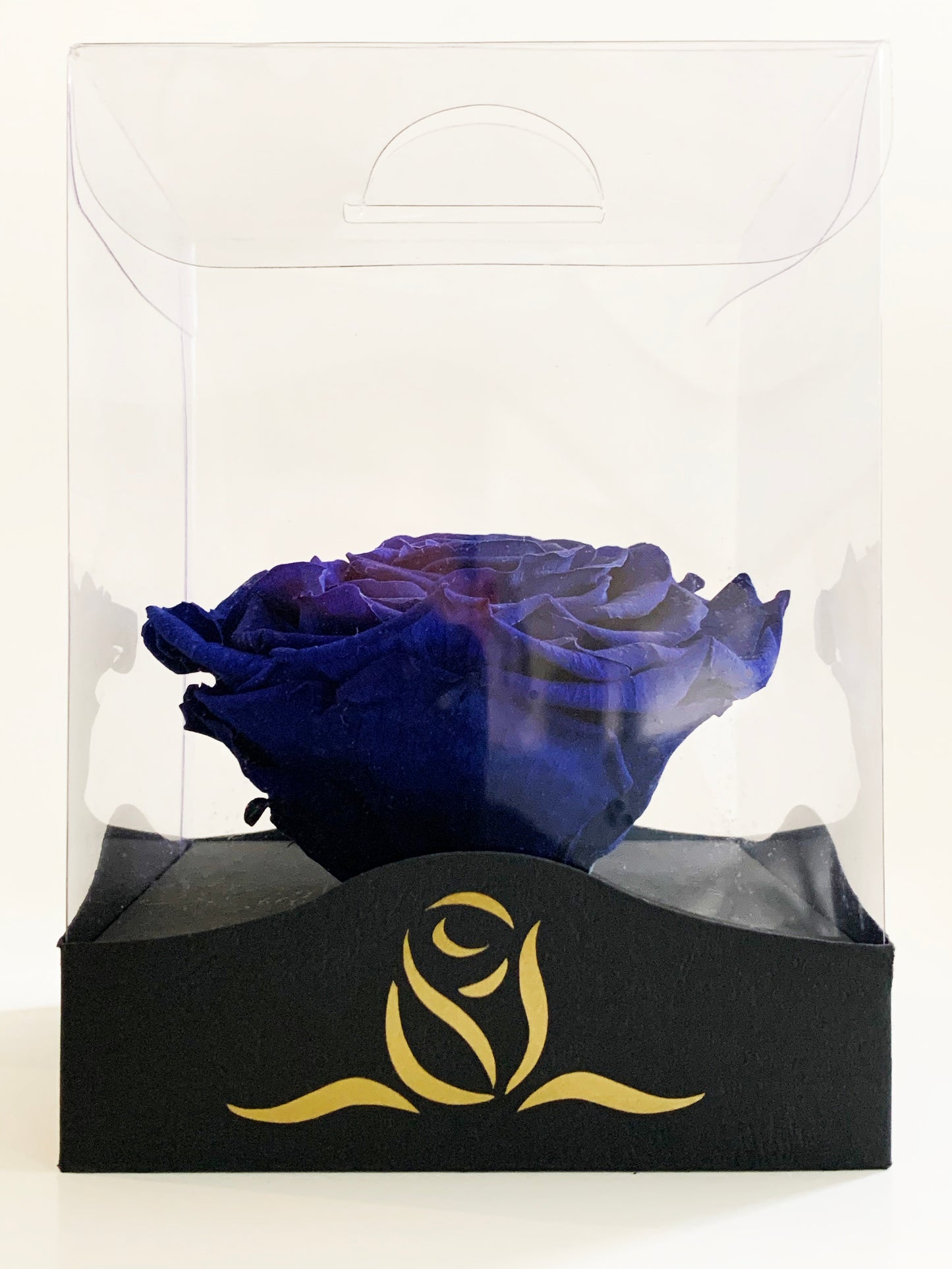 Grande Clear Vinyl Grande - Single Large Preserved Rose - forever roses store