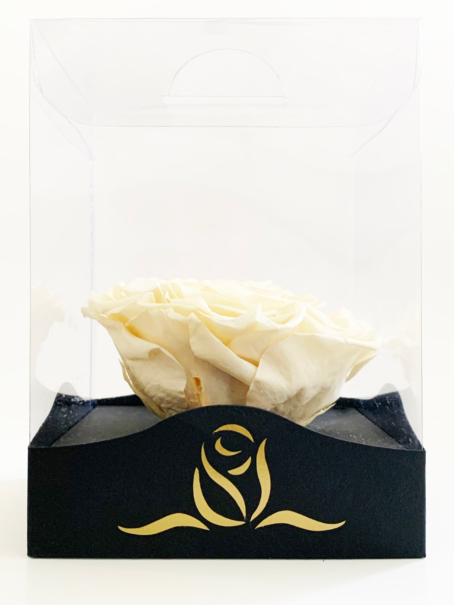 Grande Clear Vinyl Grande - Single Large Preserved Rose - forever roses store