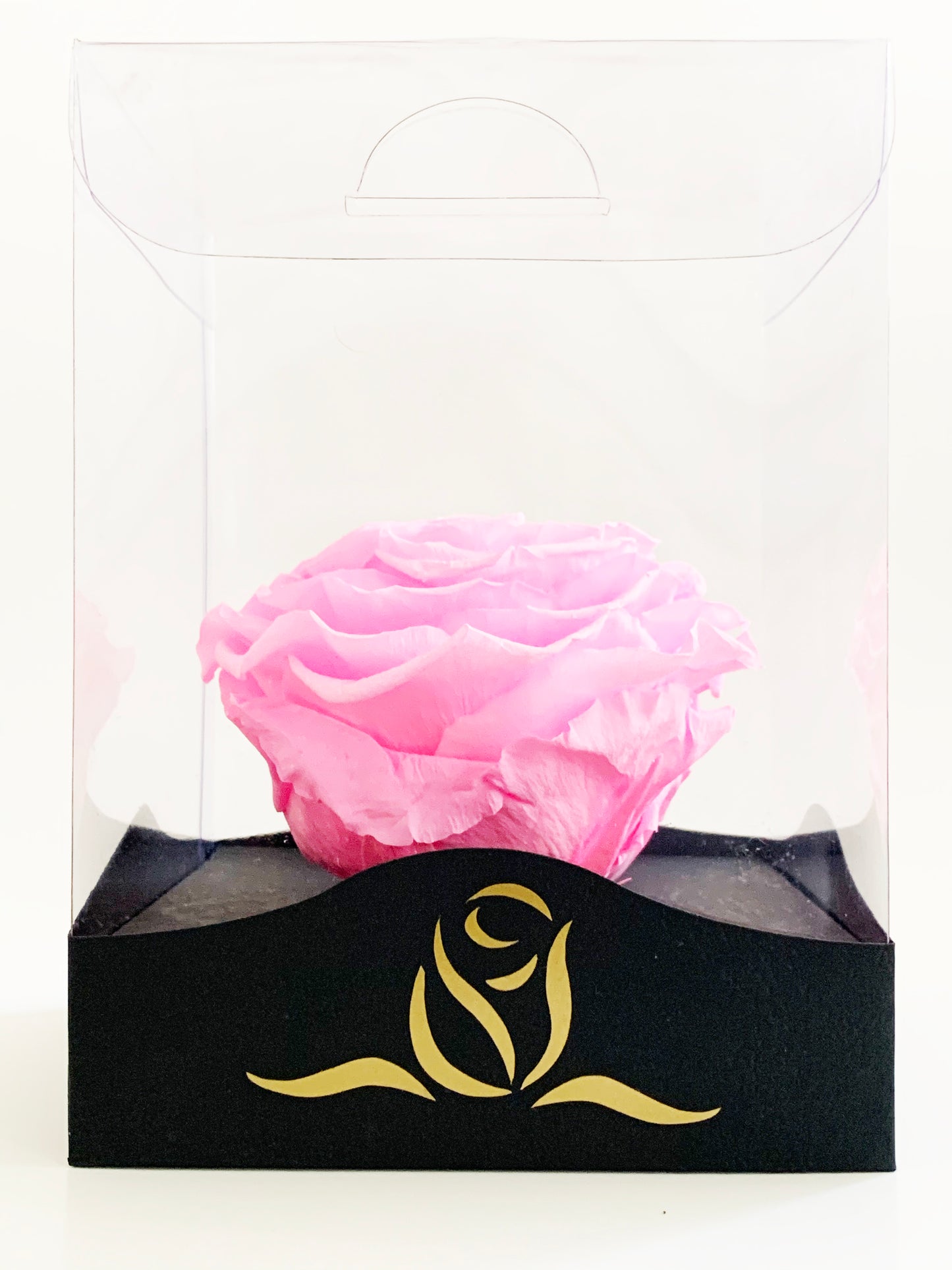 Grande Clear Vinyl Grande - Single Large Preserved Rose - forever roses store