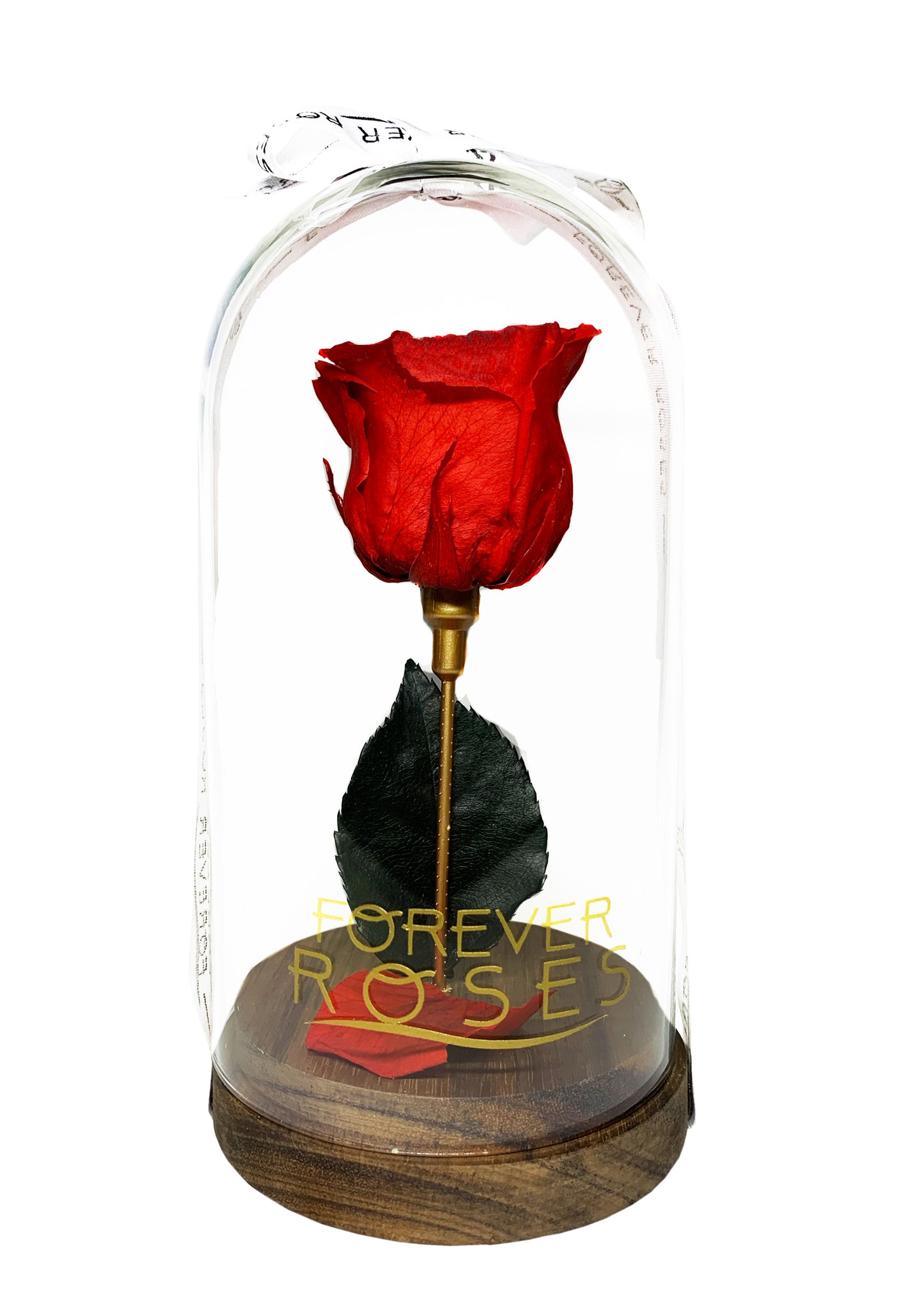 Glass Tall Dome - Single Preserve Rose - forever roses store