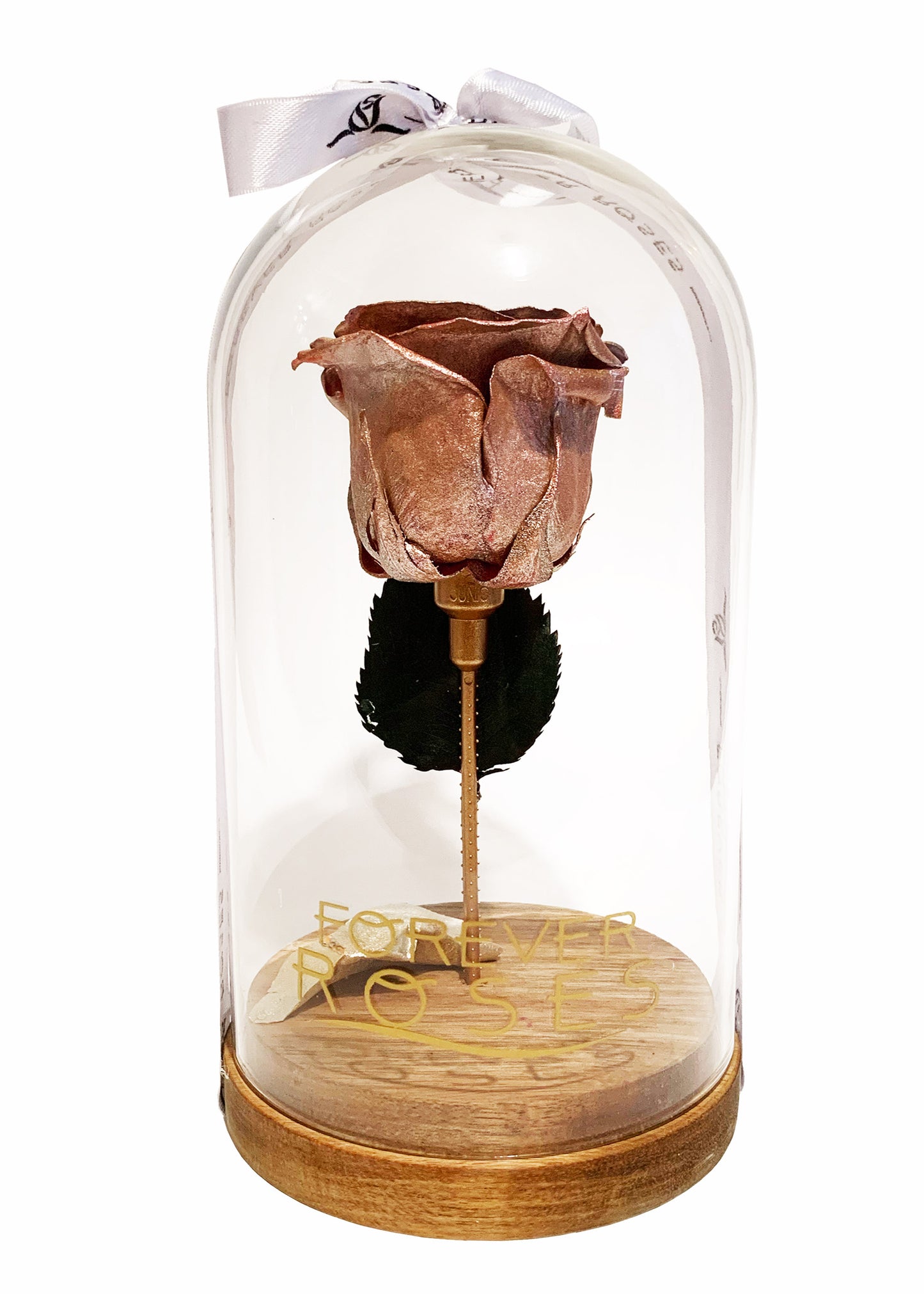 Glass Tall Dome - Single Preserve Rose - forever roses store