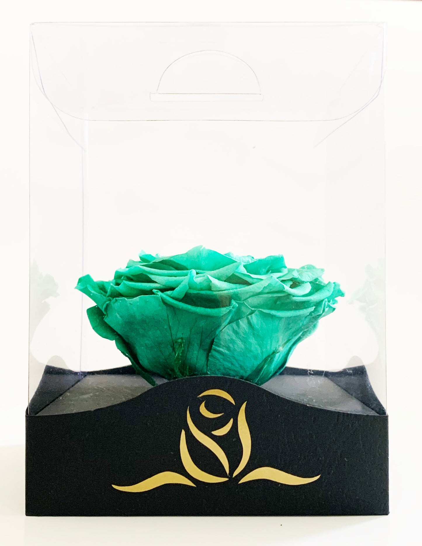 Grande Clear Vinyl Grande - Single Large Preserved Rose - forever roses store