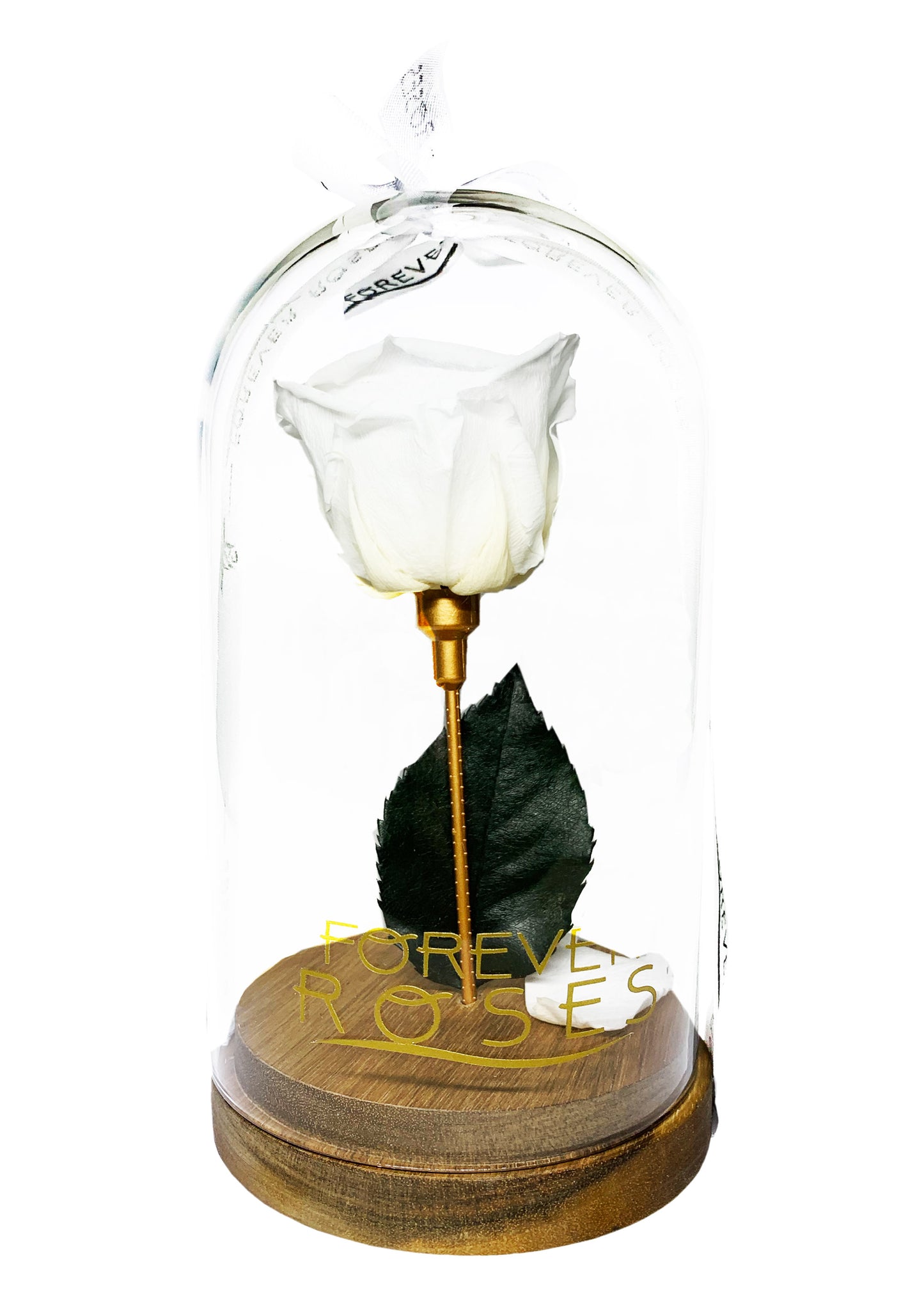 Glass Tall Dome - Single Preserve Rose - forever roses store