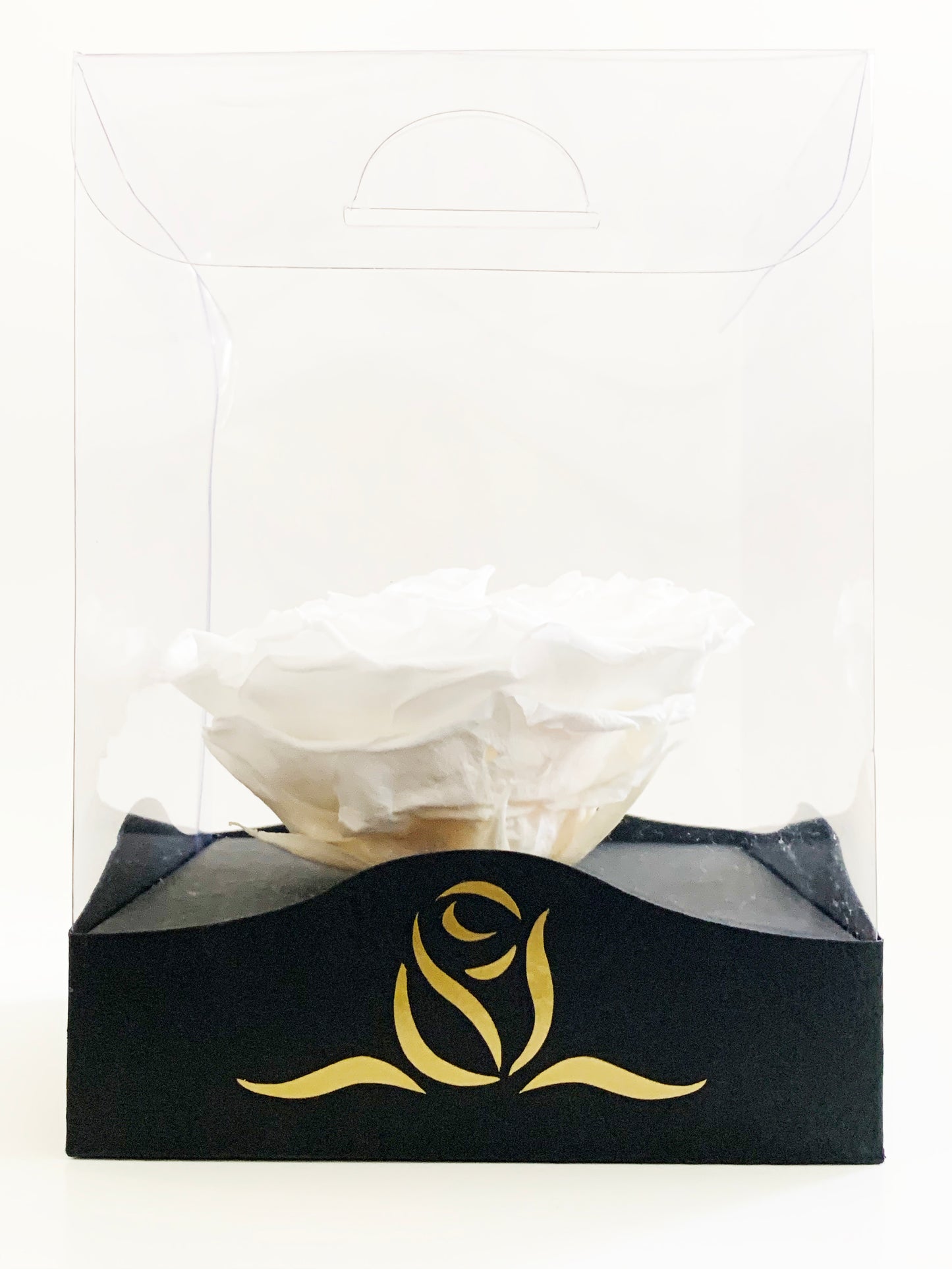 Grande Clear Vinyl Grande - Single Large Preserved Rose - forever roses store