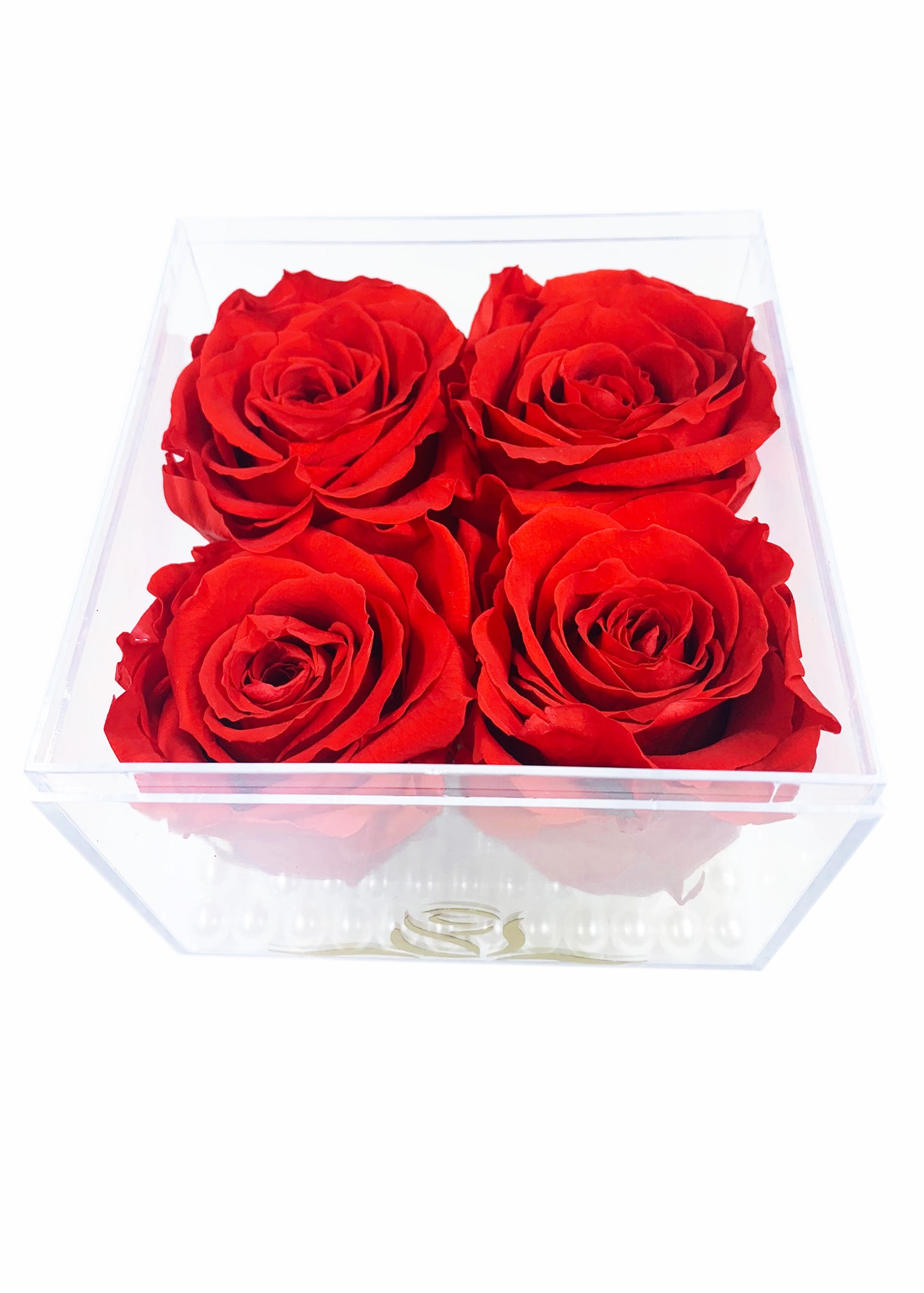 Grande Cube - Four Preserved Roses - forever roses store