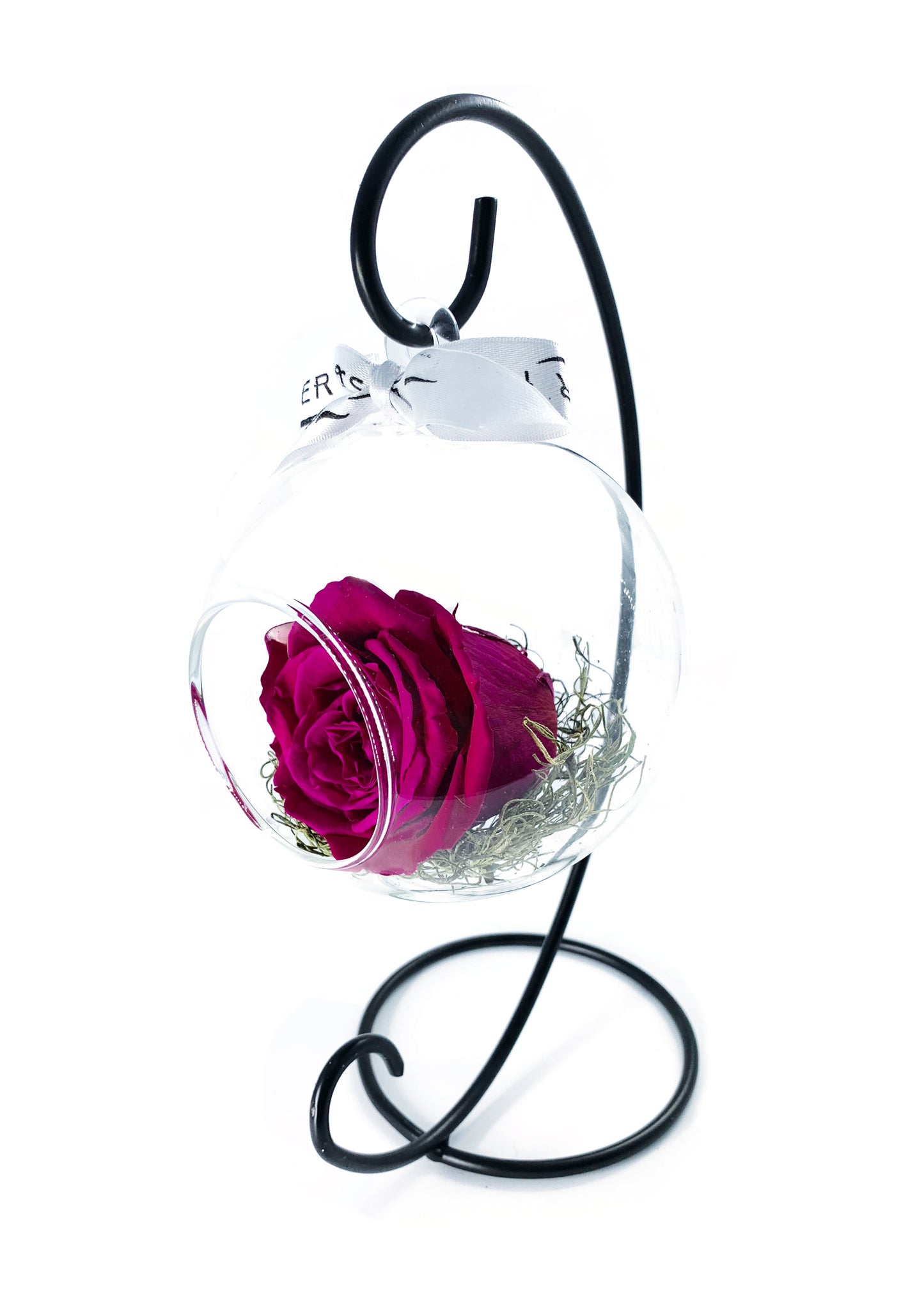 Swinging Globe - Single Preserved Rose - forever roses store
