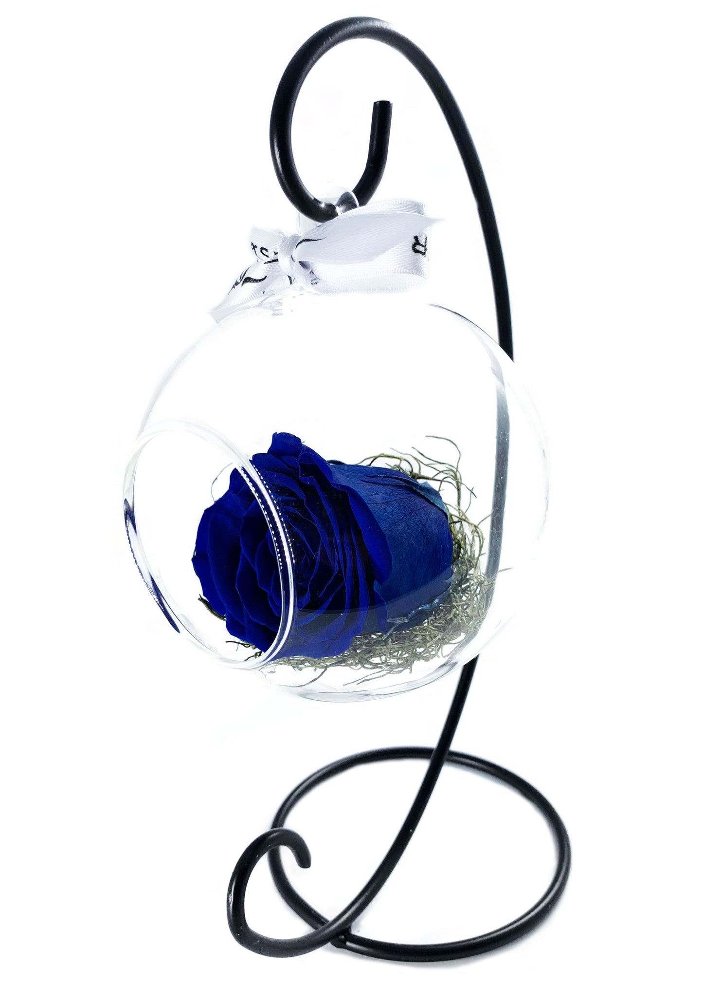 Swinging Globe - Single Preserved Rose - forever roses store