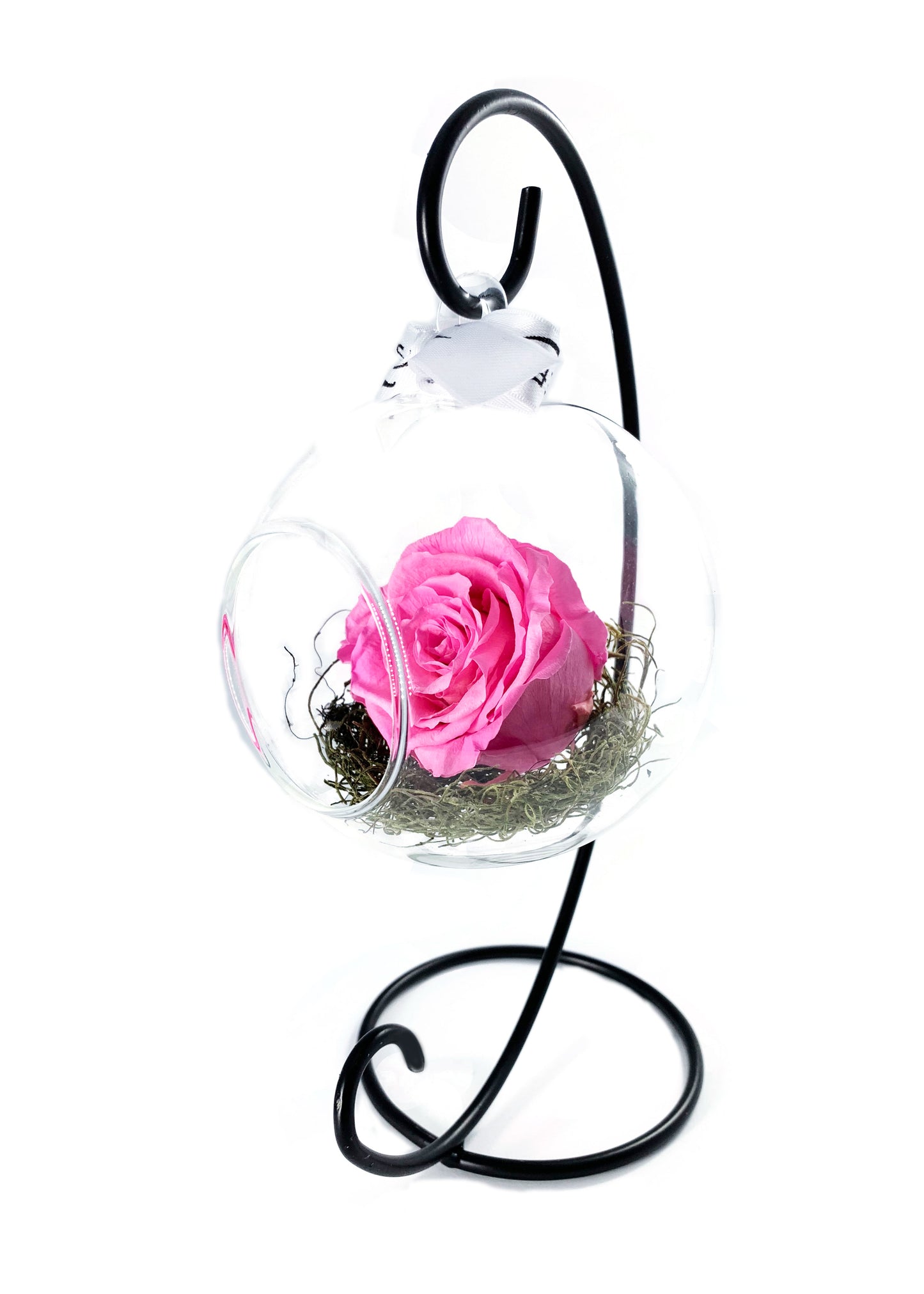 Swinging Globe - Single Preserved Rose - forever roses store