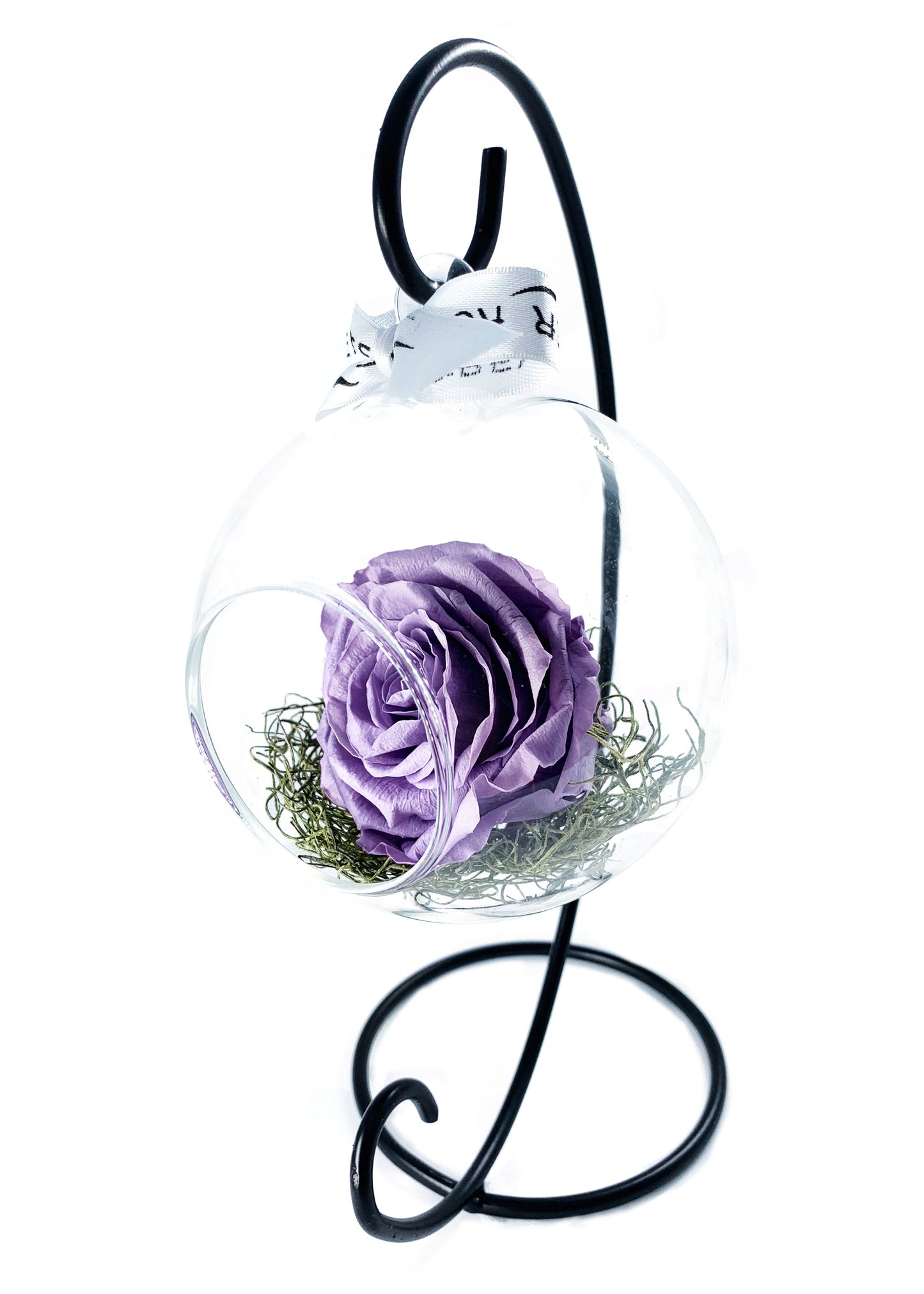 Swinging Globe - Single Preserved Rose - forever roses store