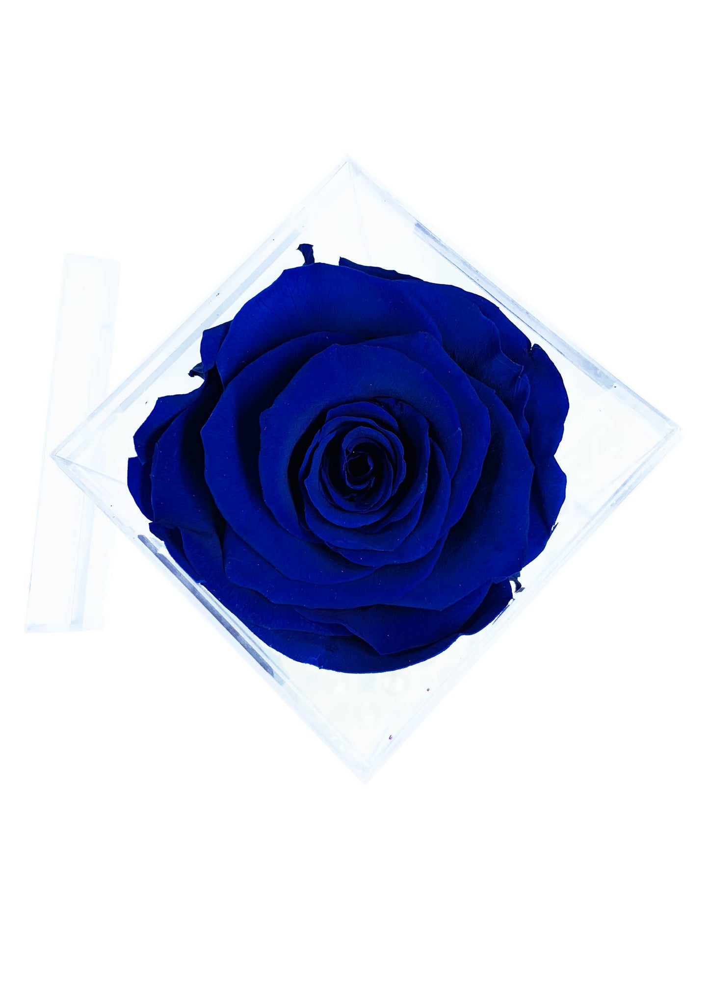 Tall Cube - Single Preserved Rose - forever roses store