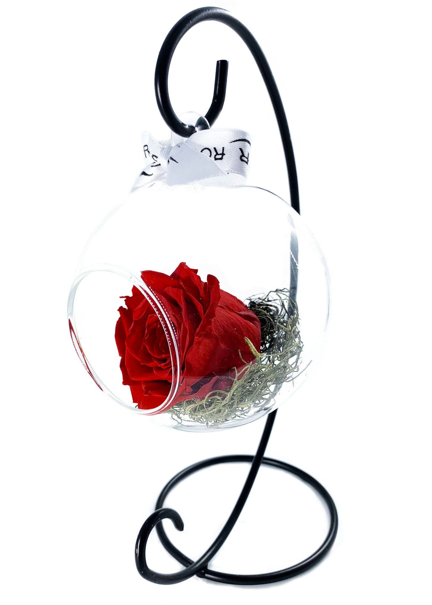 Swinging Globe - Single Preserved Rose - forever roses store