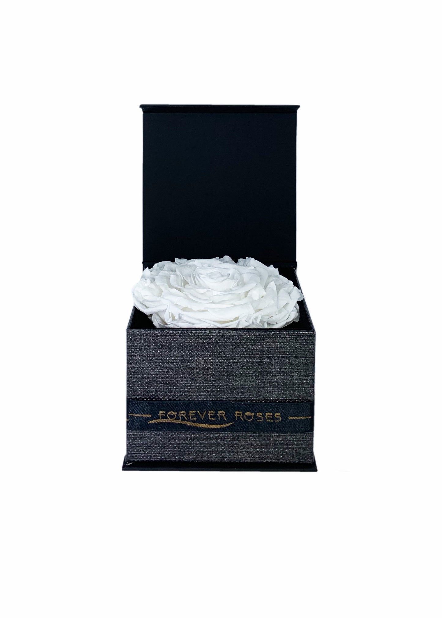 Gift Box - Single Large Preserved Rose - forever roses store