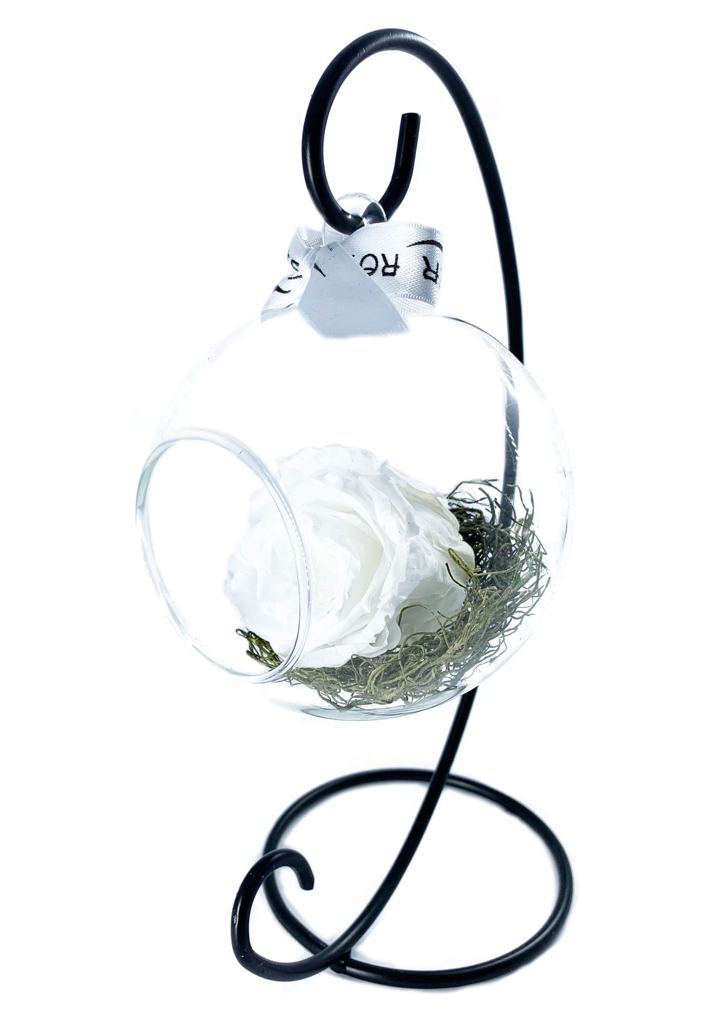 Swinging Globe - Single Preserved Rose - forever roses store