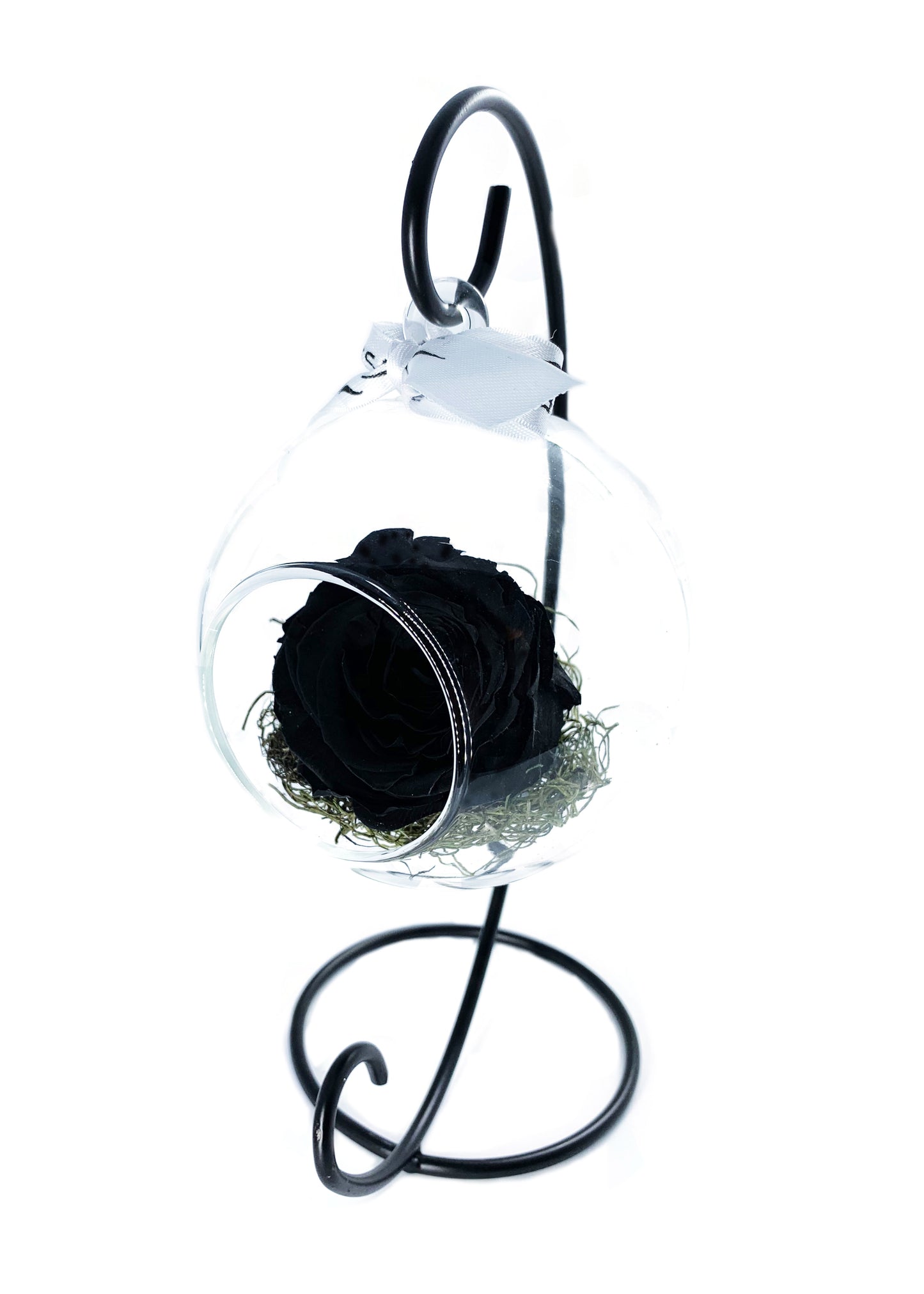 Swinging Globe - Single Preserved Rose - forever roses store