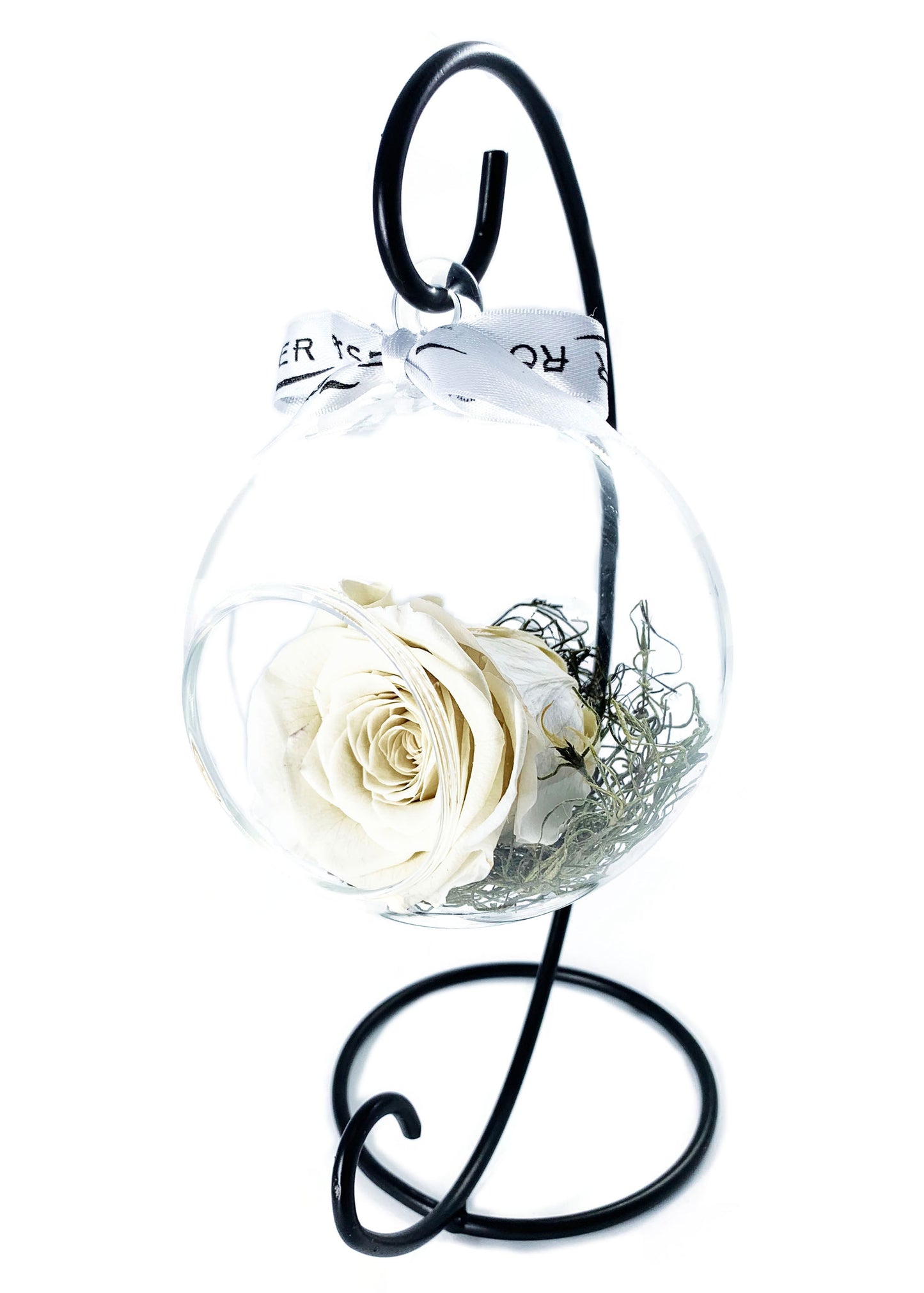 Swinging Globe - Single Preserved Rose - forever roses store