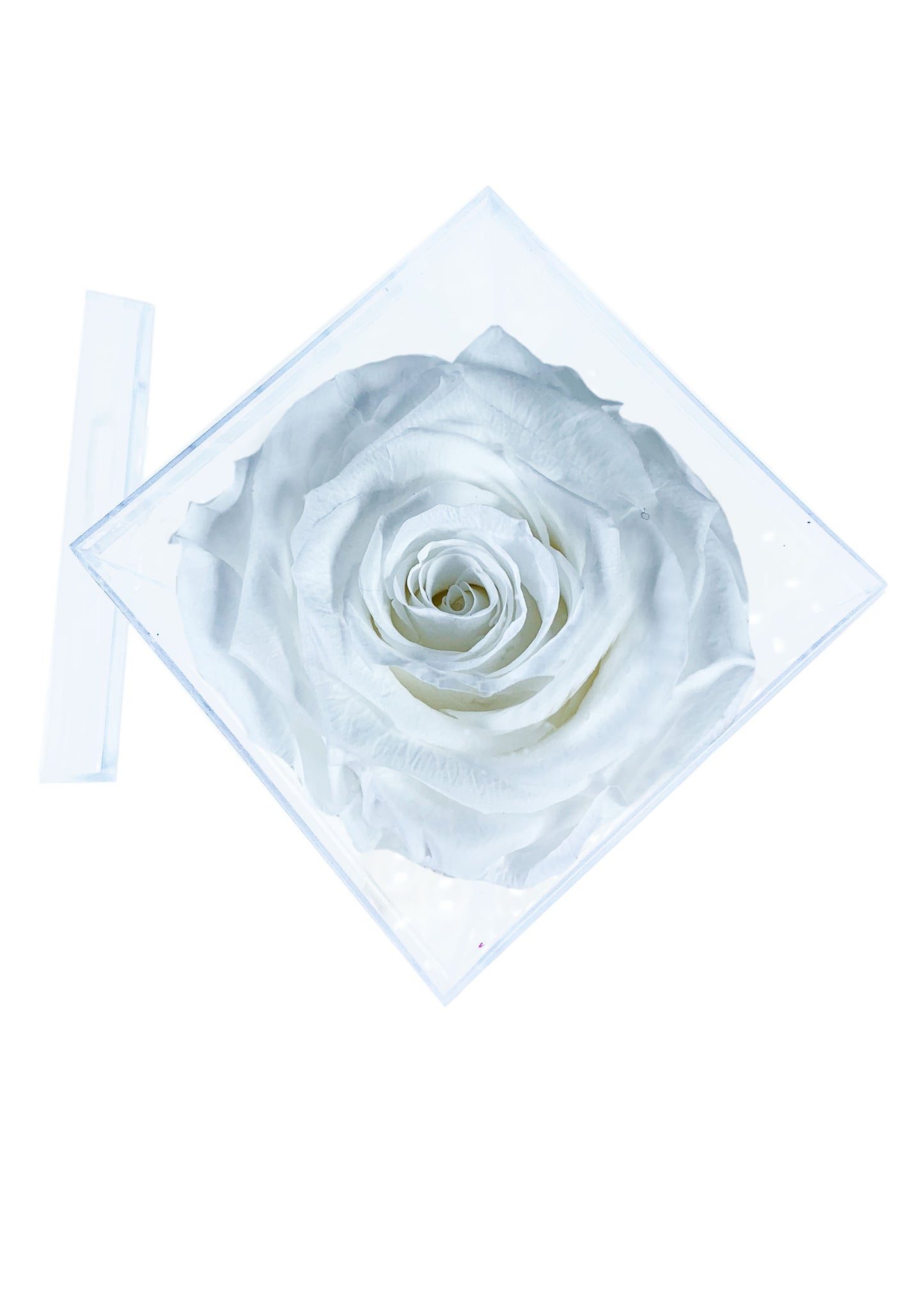 Tall Cube - Single Preserved Rose - forever roses store