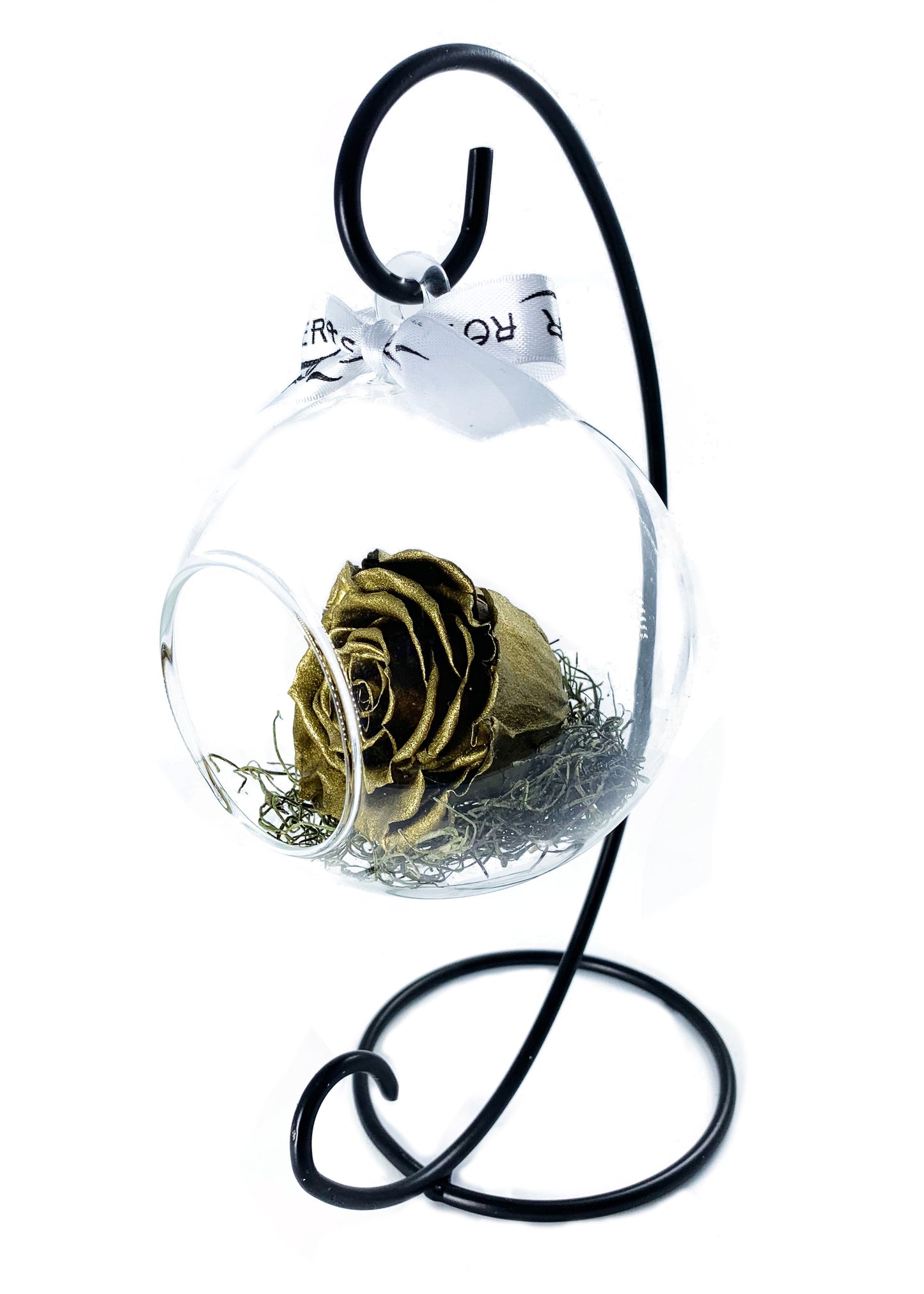 Swinging Globe - Single Preserved Rose - forever roses store