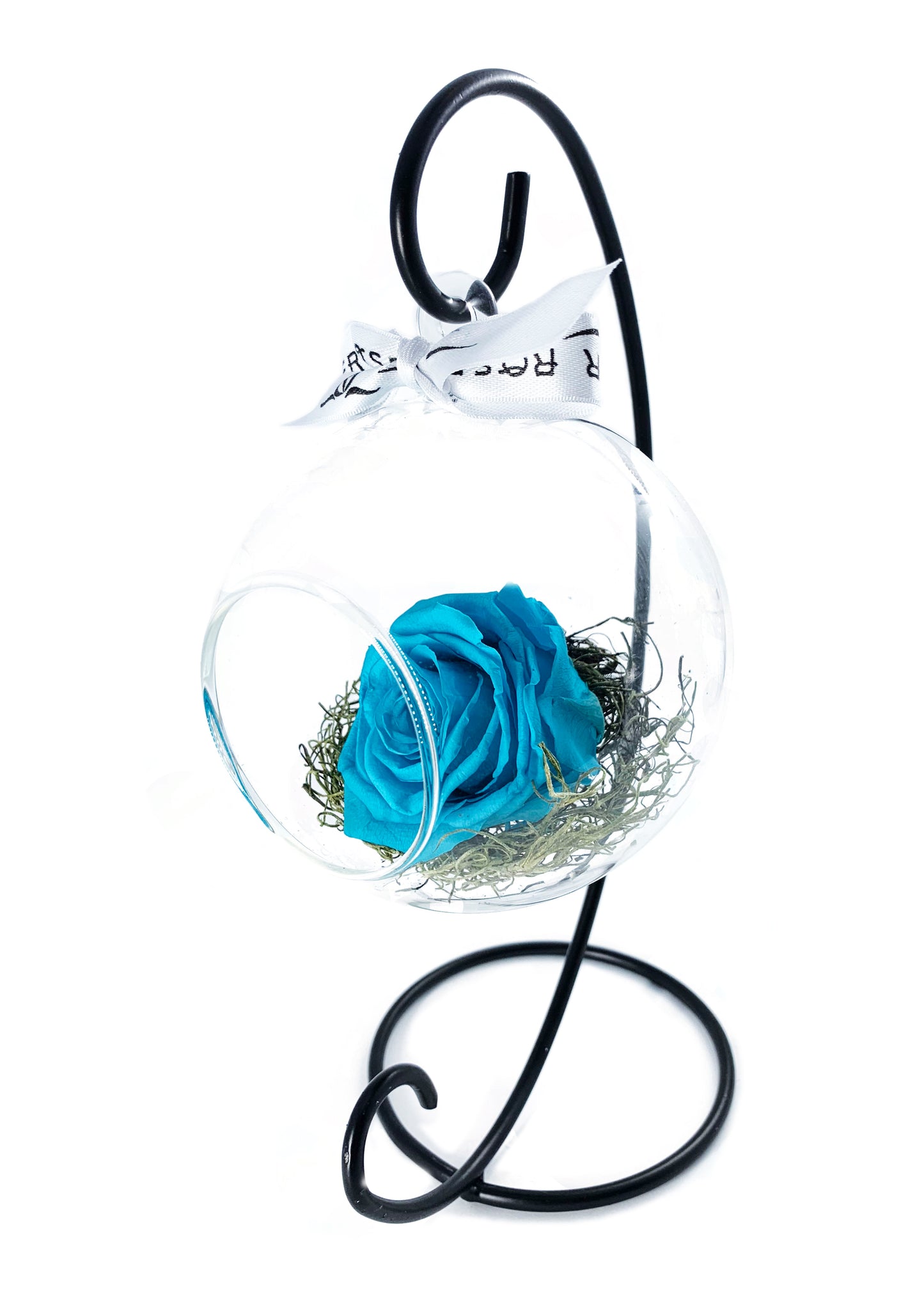 Swinging Globe - Single Preserved Rose - forever roses store