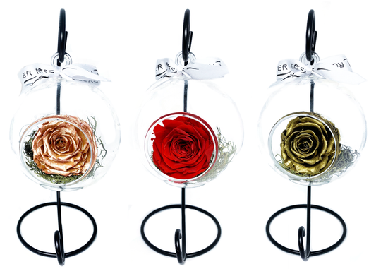 Swinging Globe - Single Preserved Rose - forever roses store 