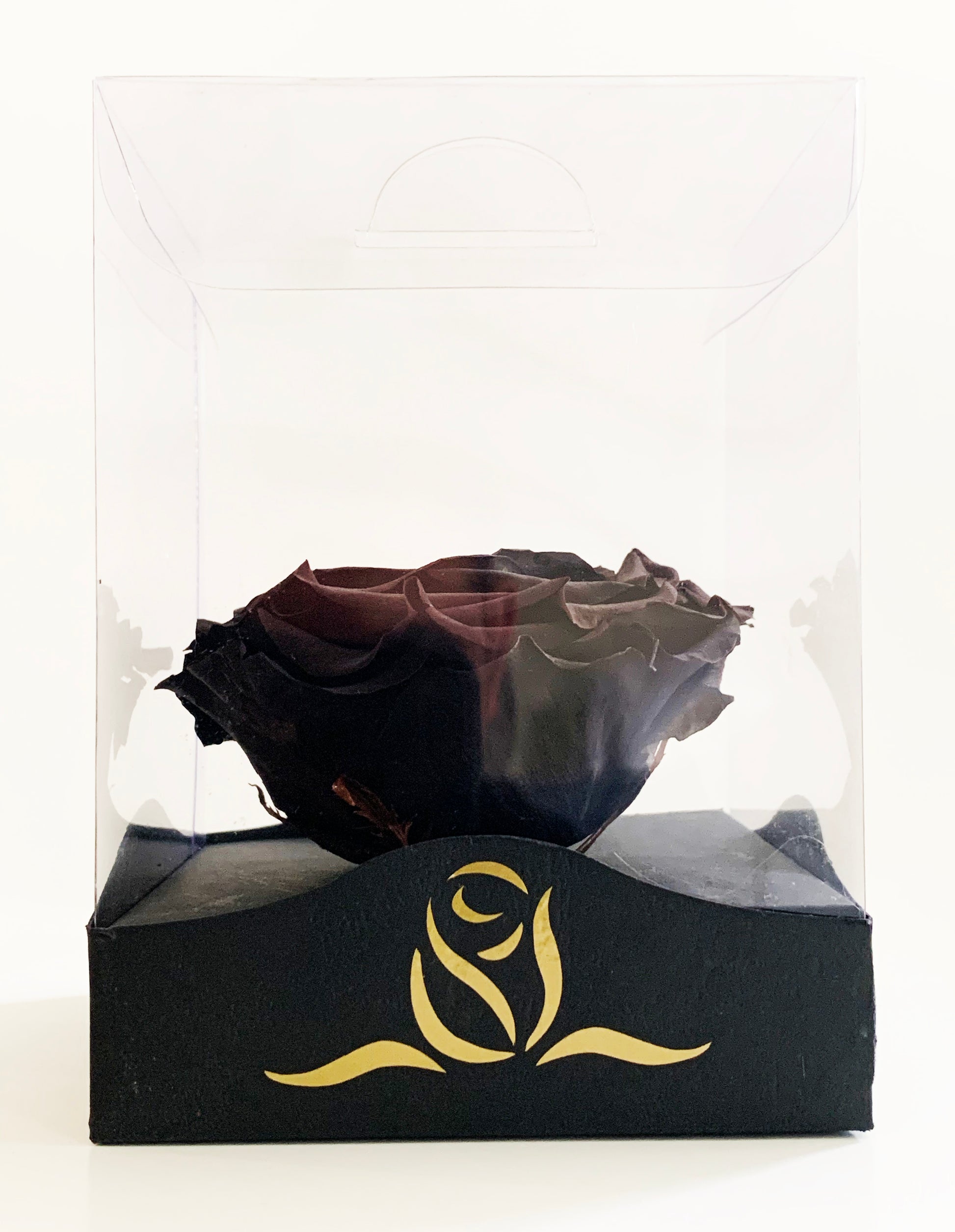 Grande Clear Vinyl Grande - Single Large Preserved Rose - forever roses store 