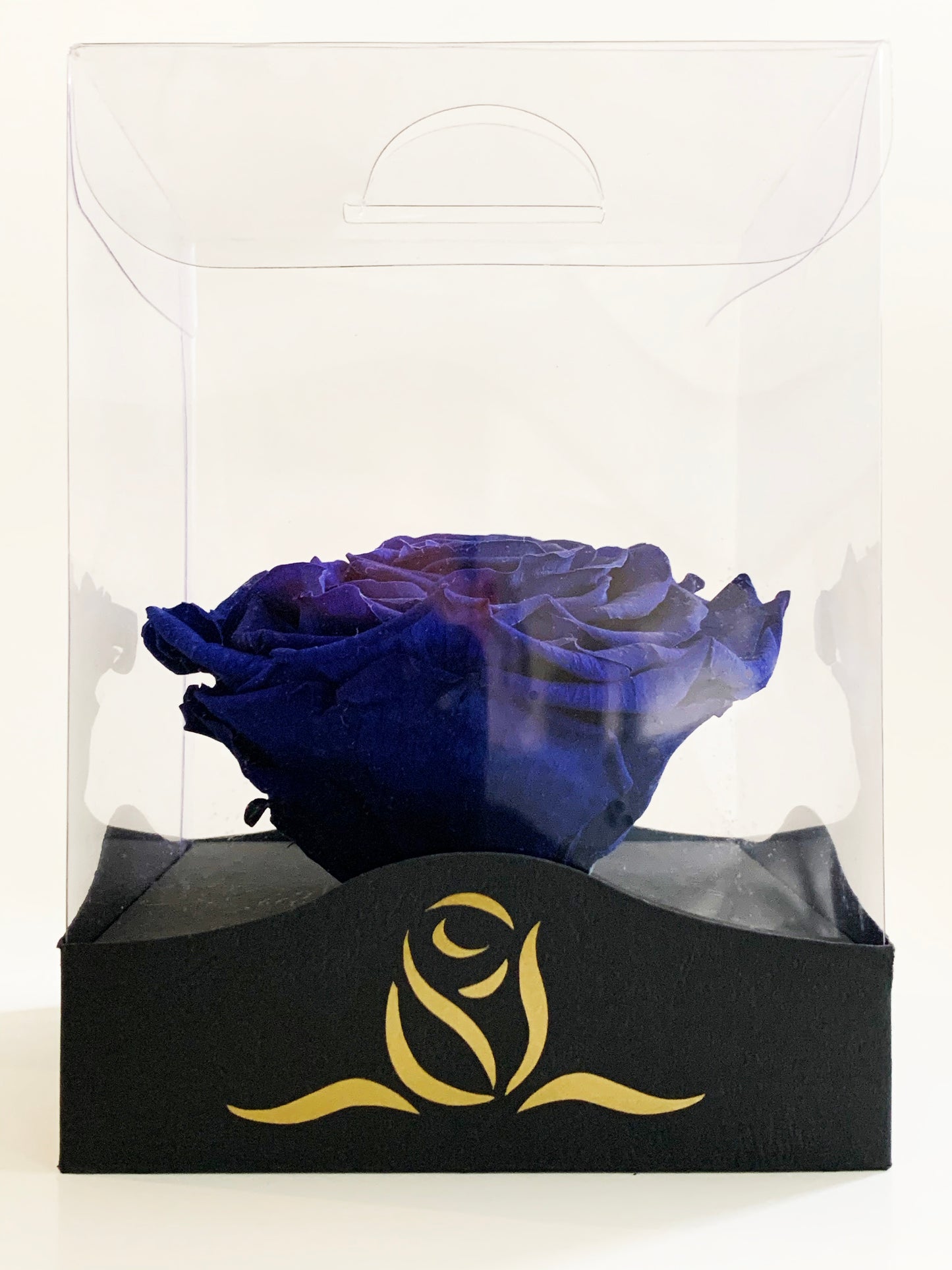 Grande Clear Vinyl Grande - Single Large Preserved Rose - forever roses store 