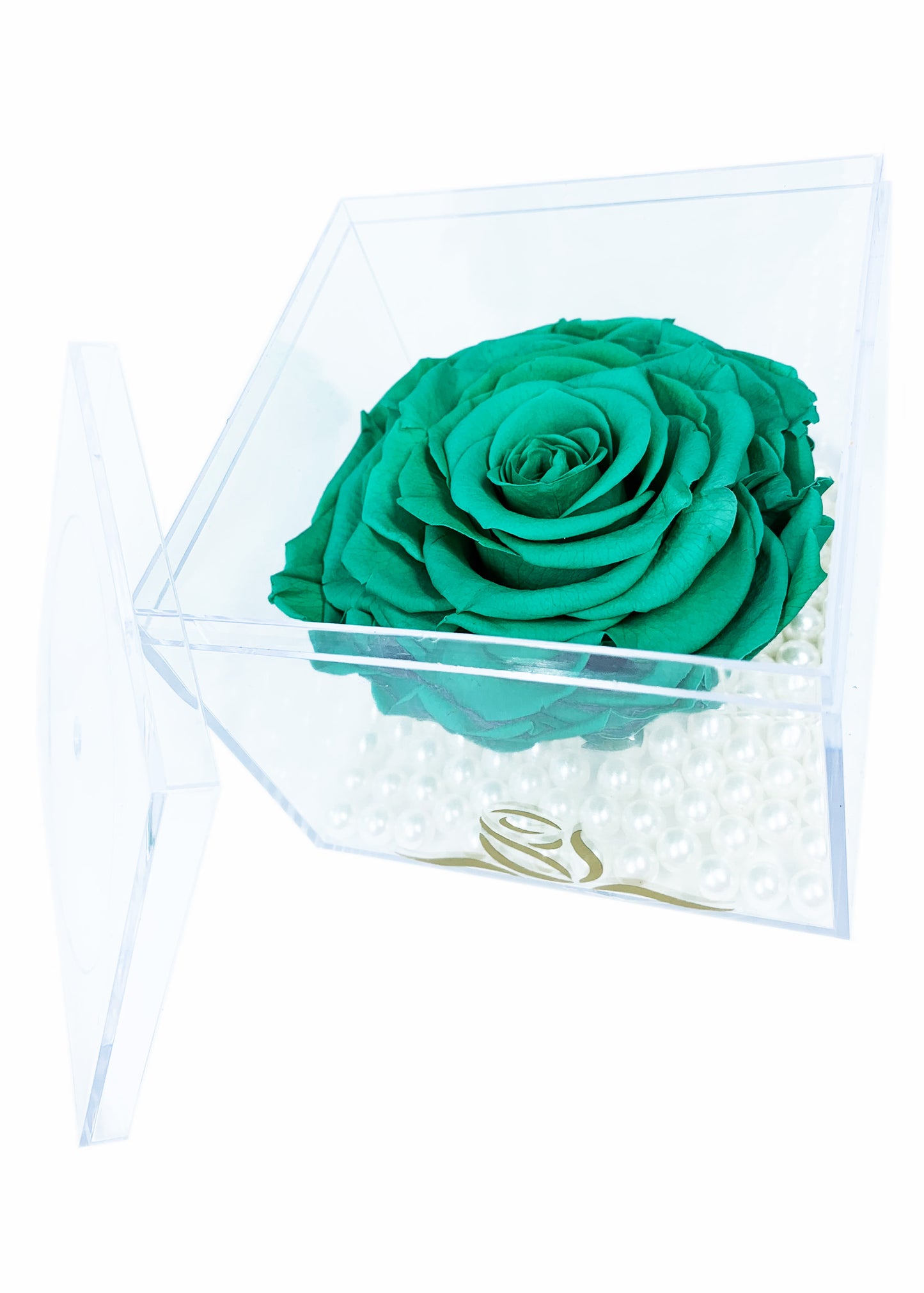 Grande Cube - Single Large Preserved Rose - forever roses store 