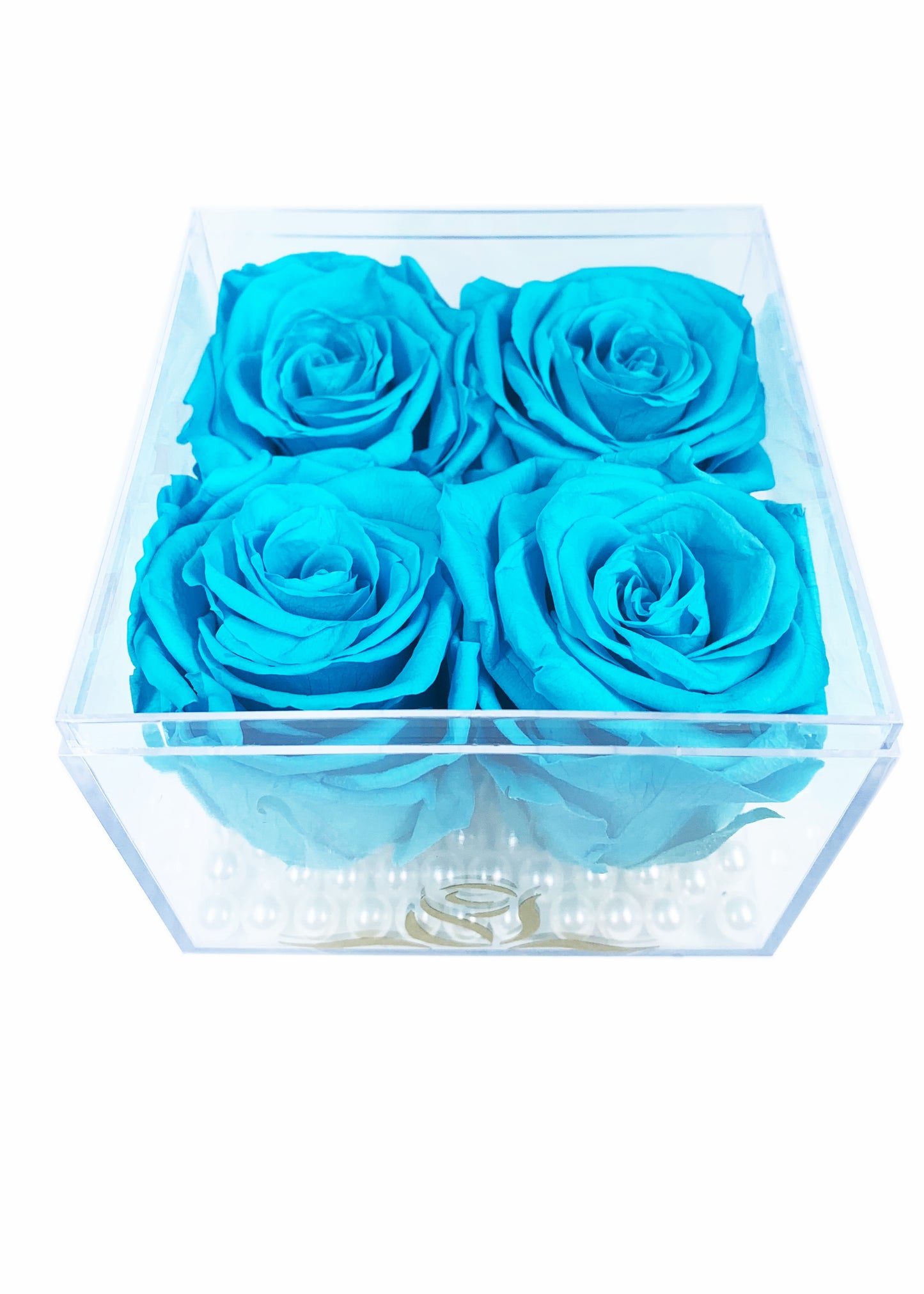 Grande Cube - Four Preserved Roses - forever roses store 