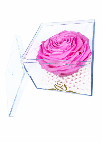 Grande Cube - Single Large Preserved Rose - forever roses store 