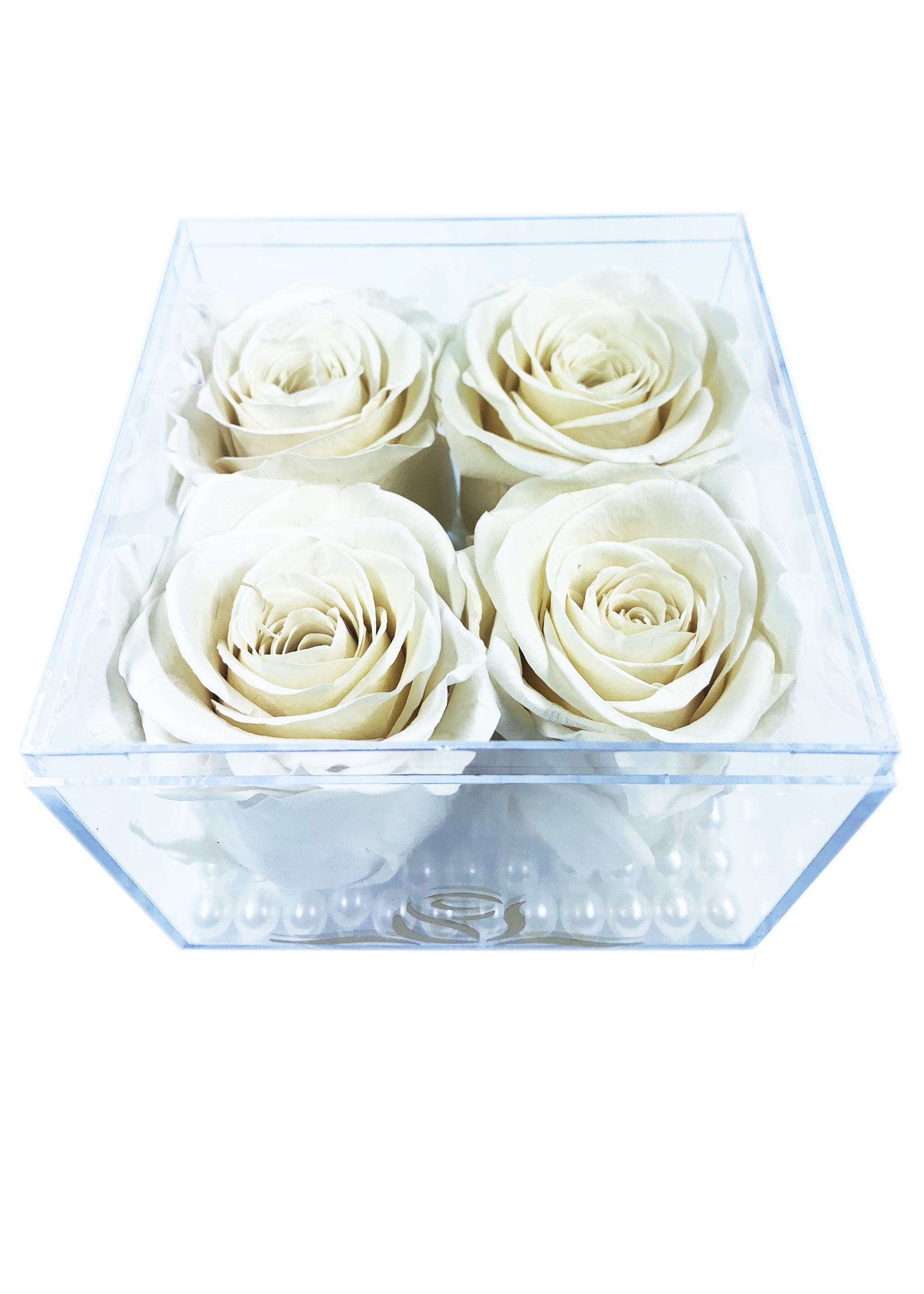 Grande Cube - Four Preserved Roses - forever roses store 