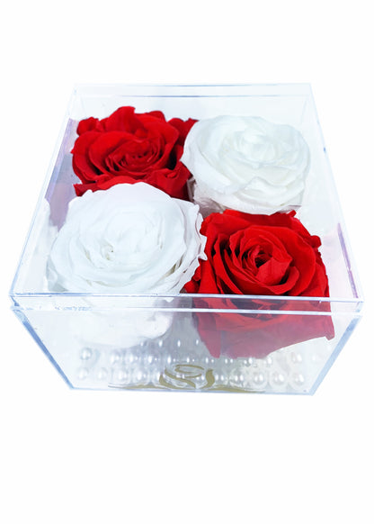 Grande Cube - Four Preserved Roses - forever roses store 