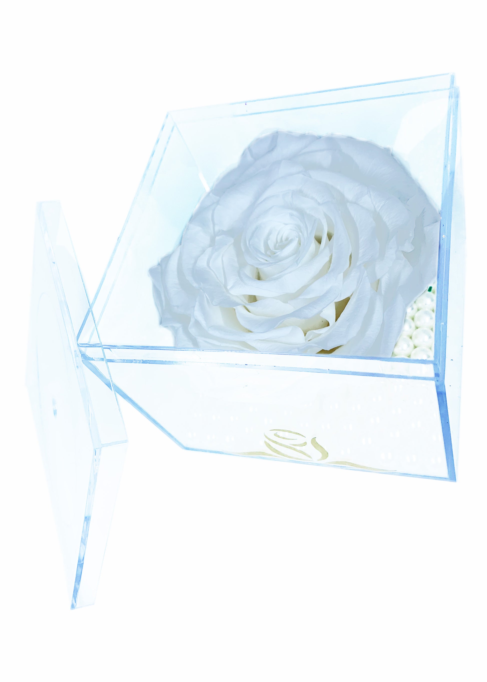 Grande Cube - Single Large Preserved Rose - forever roses store 