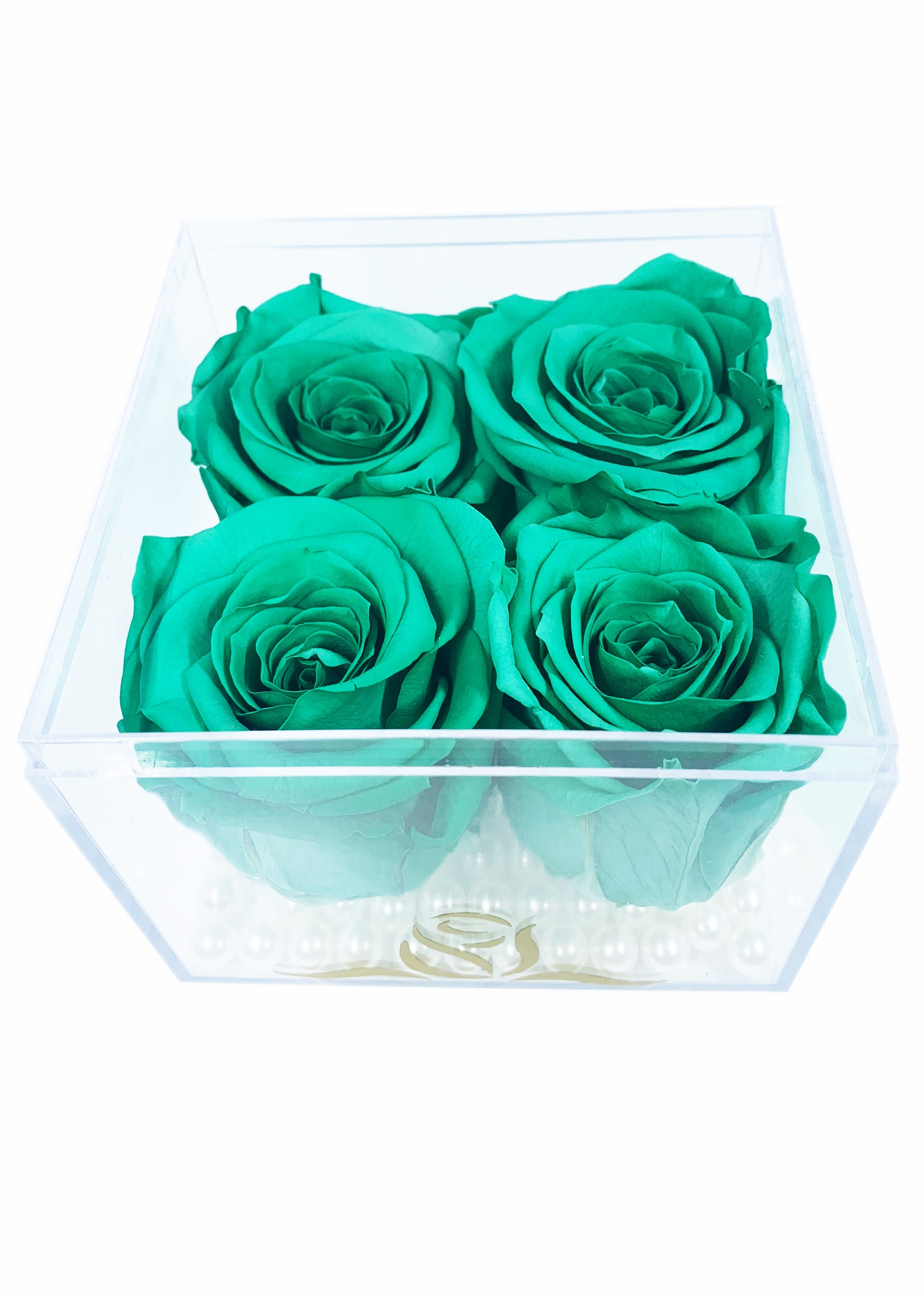 Grande Cube - Four Preserved Roses - forever roses store 