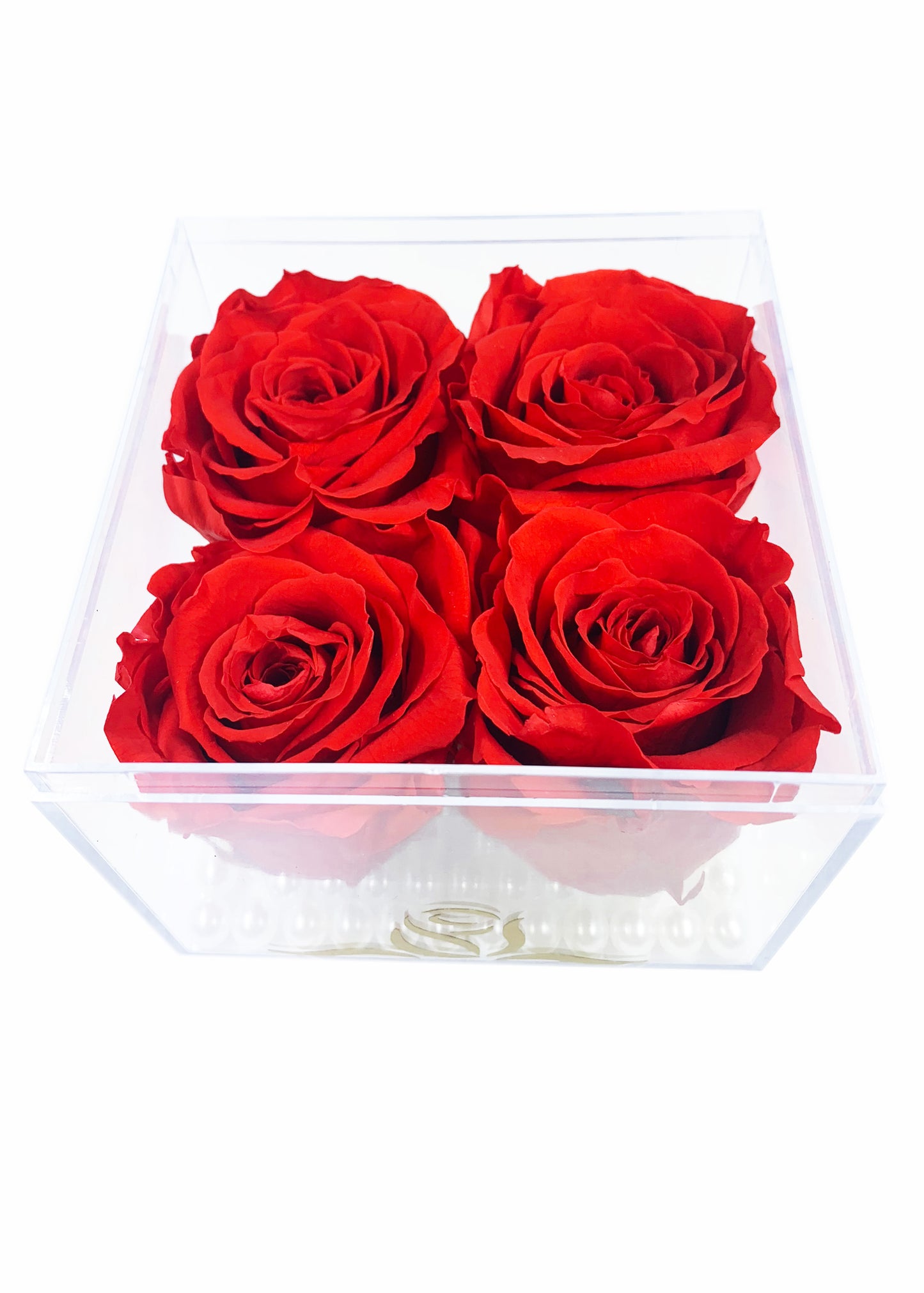 Grande Cube - Four Preserved Roses - forever roses store 