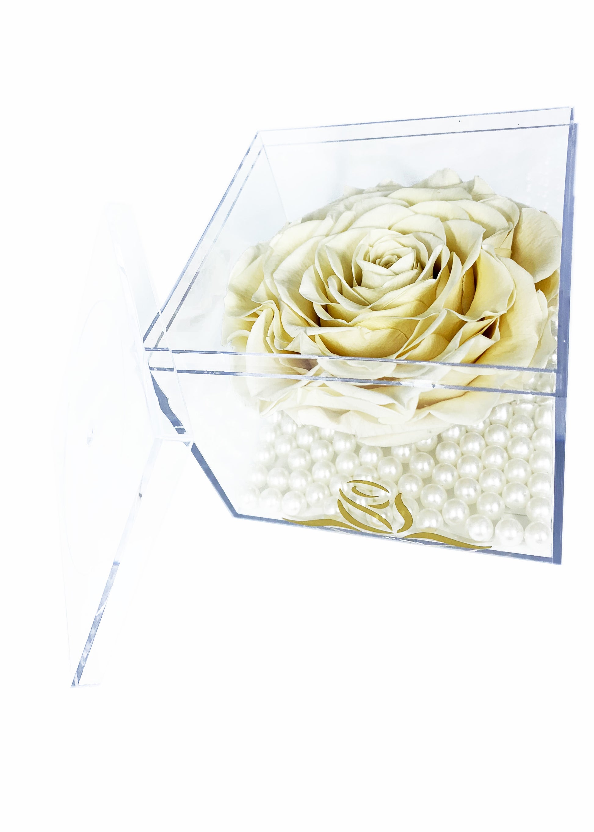 Grande Cube - Single Large Preserved Rose - forever roses store 