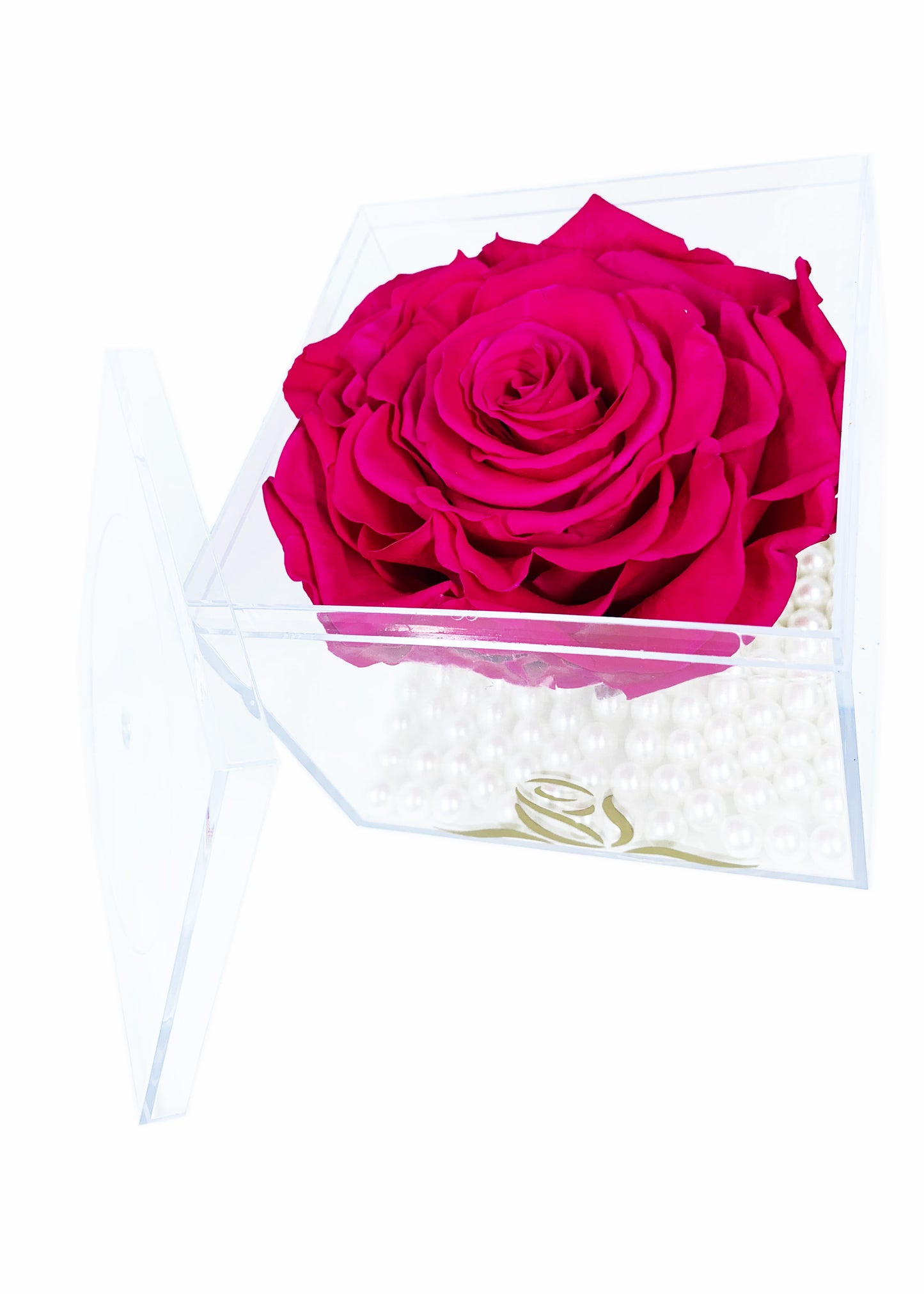 Grande Cube - Single Large Preserved Rose - forever roses store 