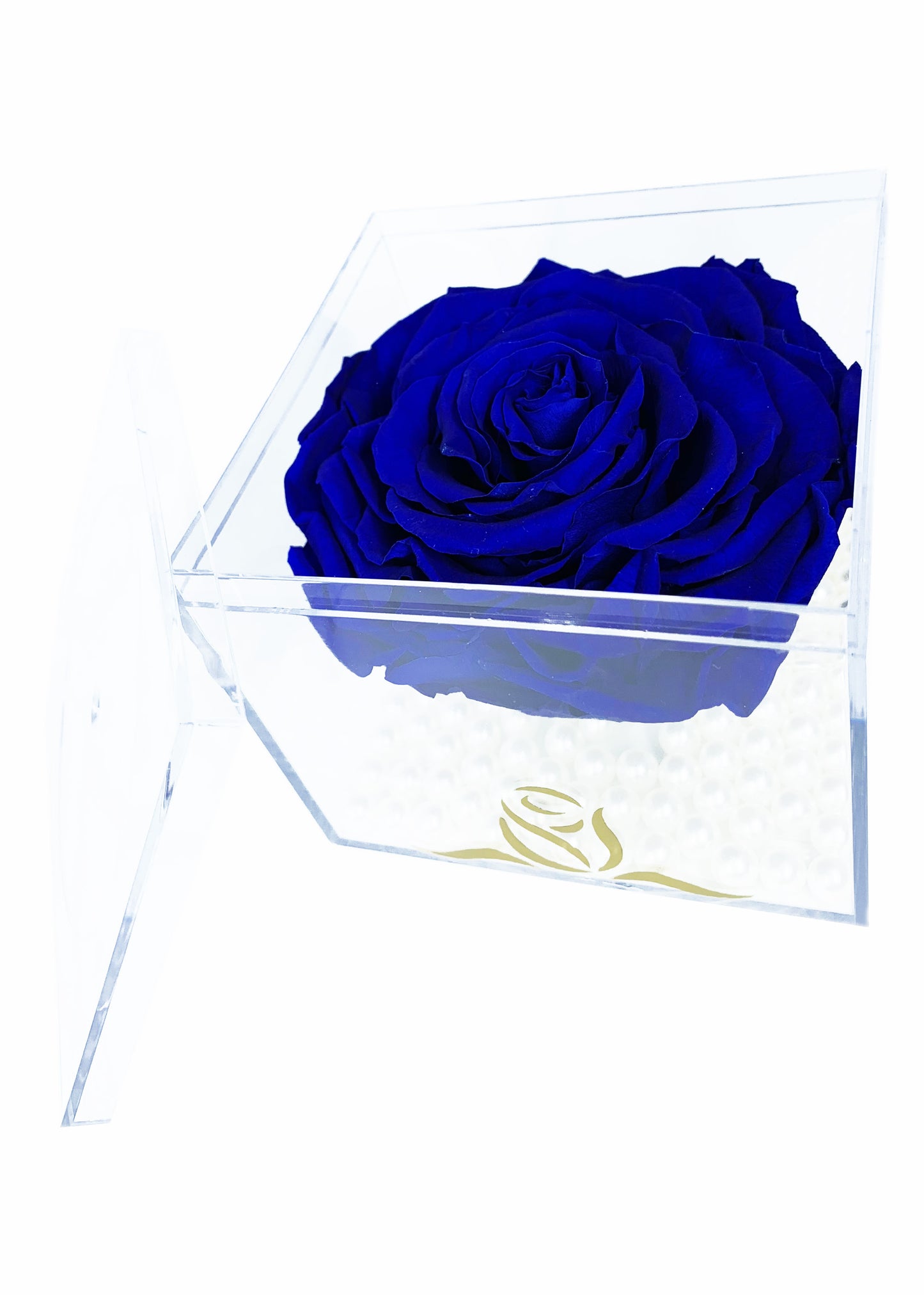 Grande Cube - Single Large Preserved Rose - forever roses store 