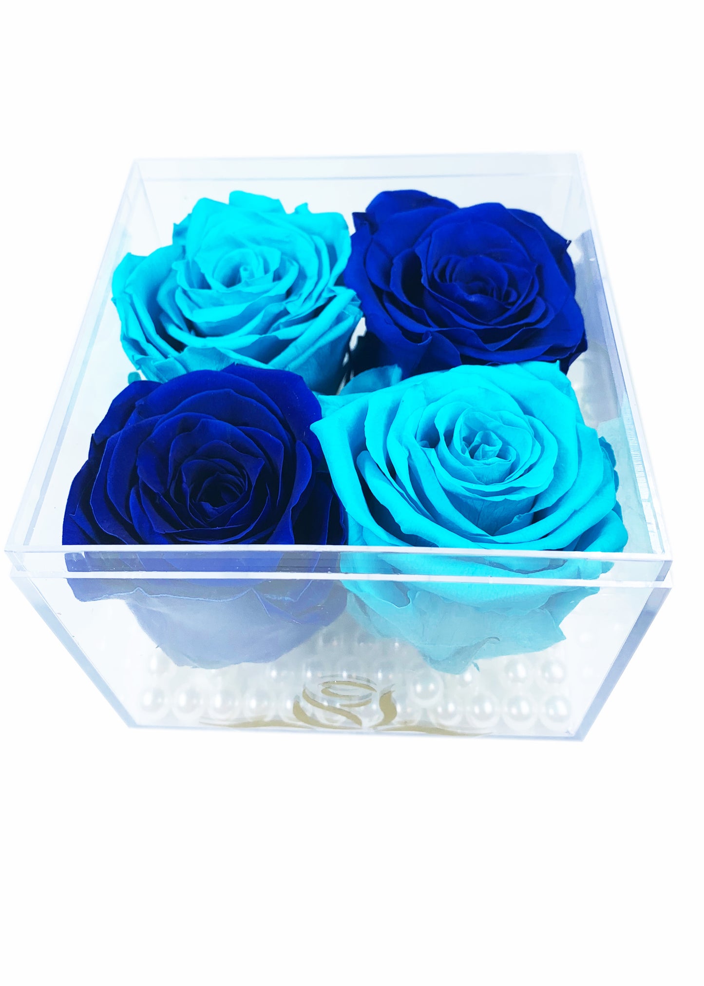 Grande Cube - Four Preserved Roses - forever roses store 