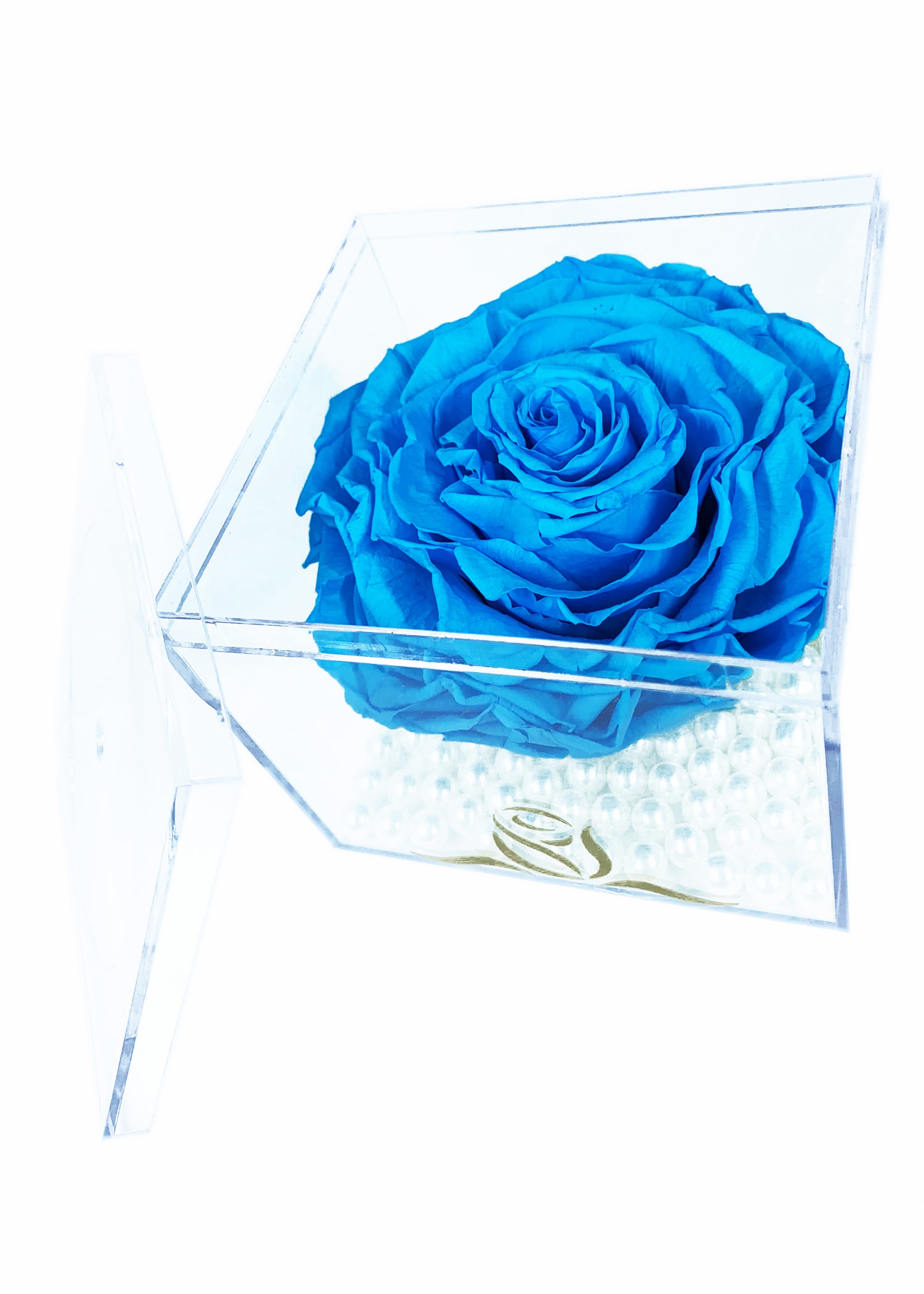 Grande Cube - Single Large Preserved Rose - forever roses store 