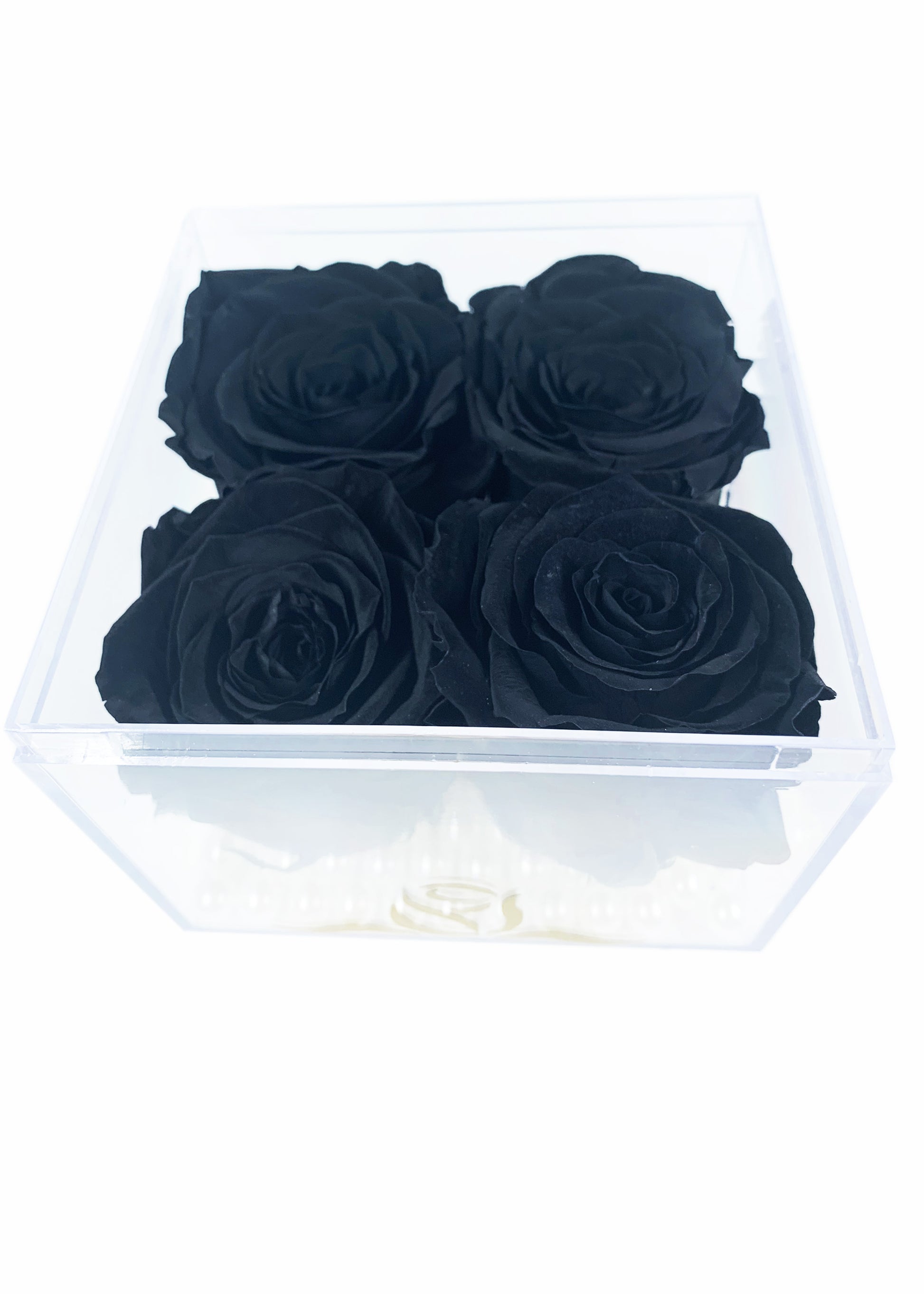 Grande Cube - Four Preserved Roses - forever roses store 