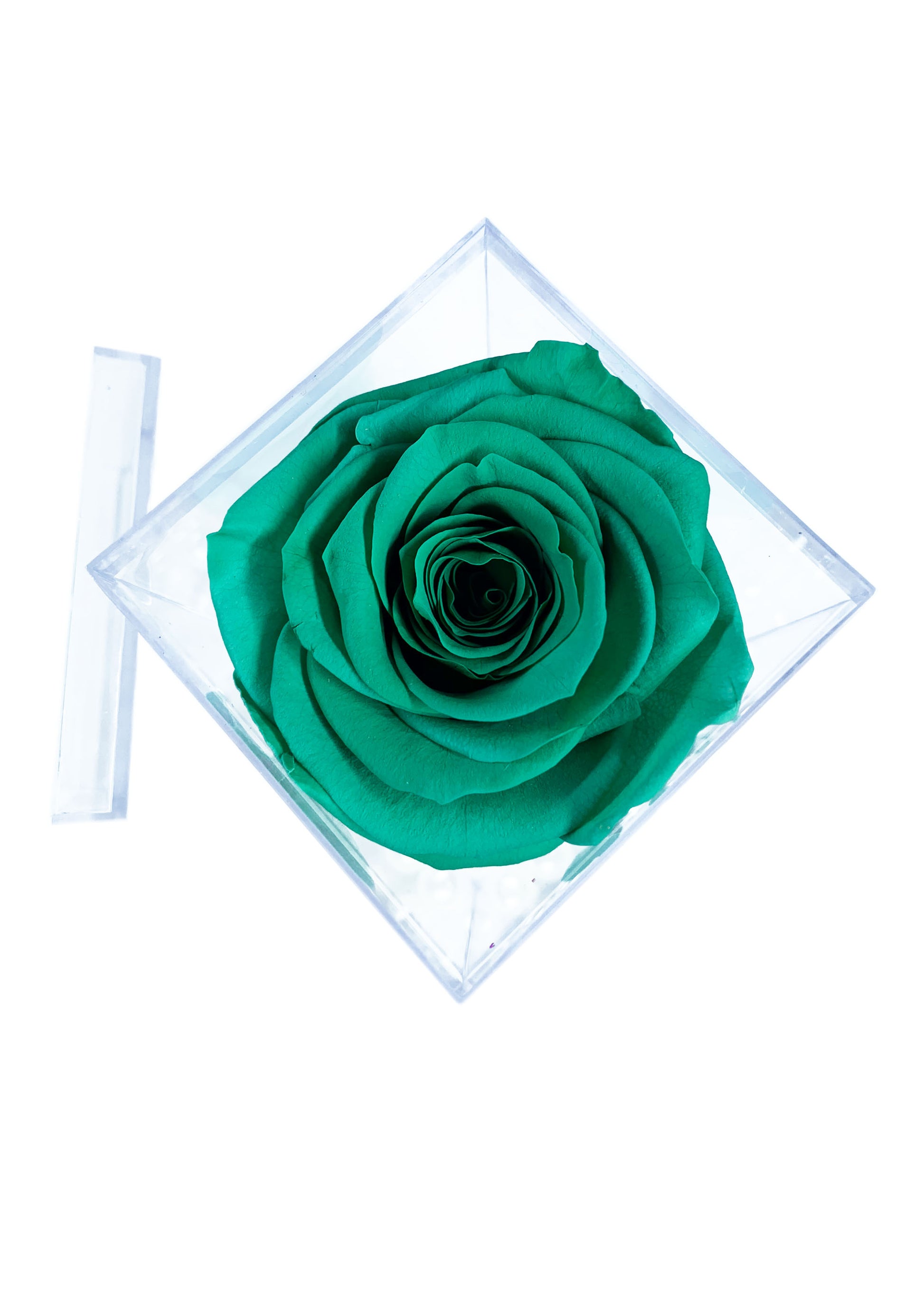 Tall Cube - Single Preserved Rose - forever roses store 