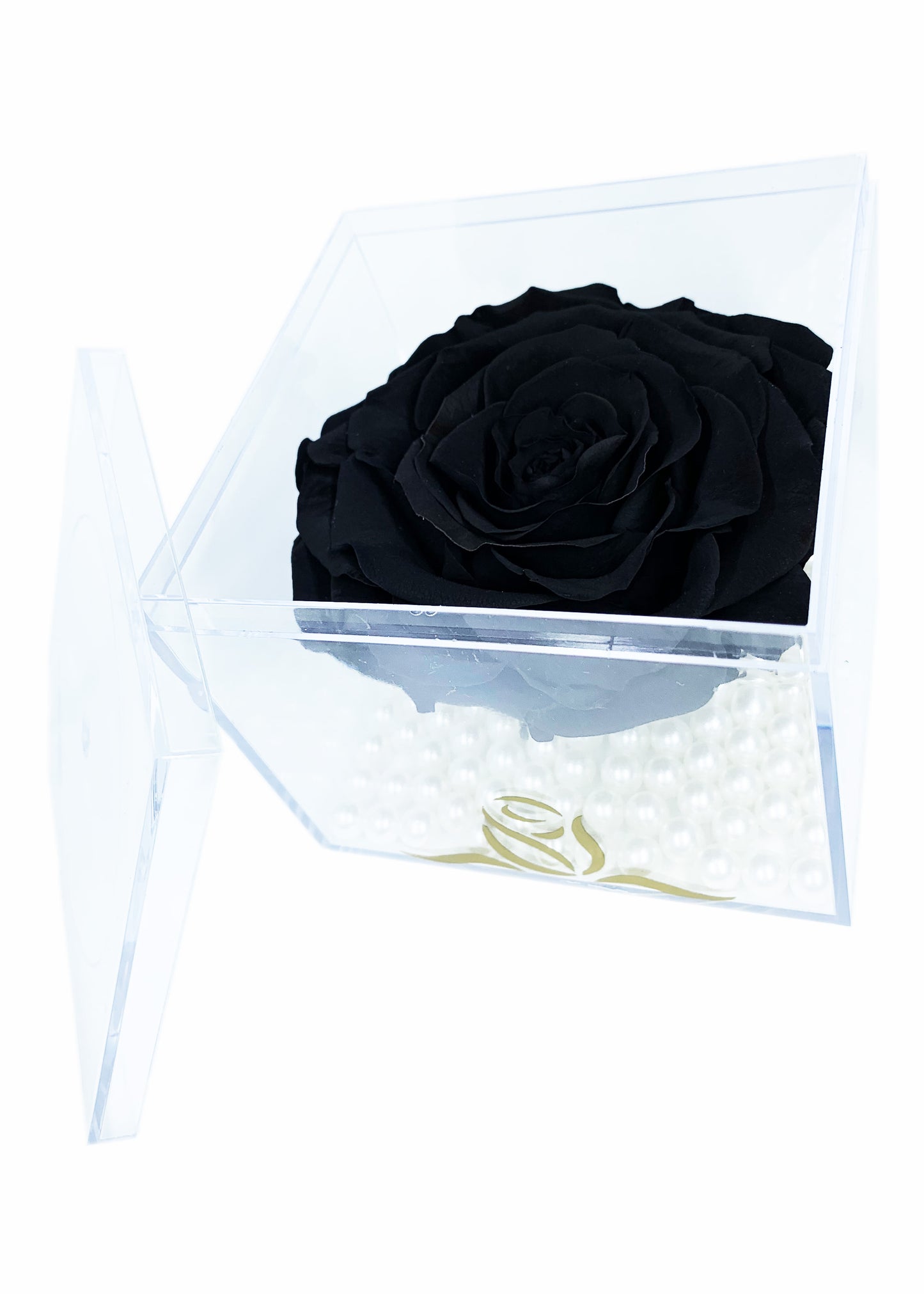 Grande Cube - Single Large Preserved Rose - forever roses store 