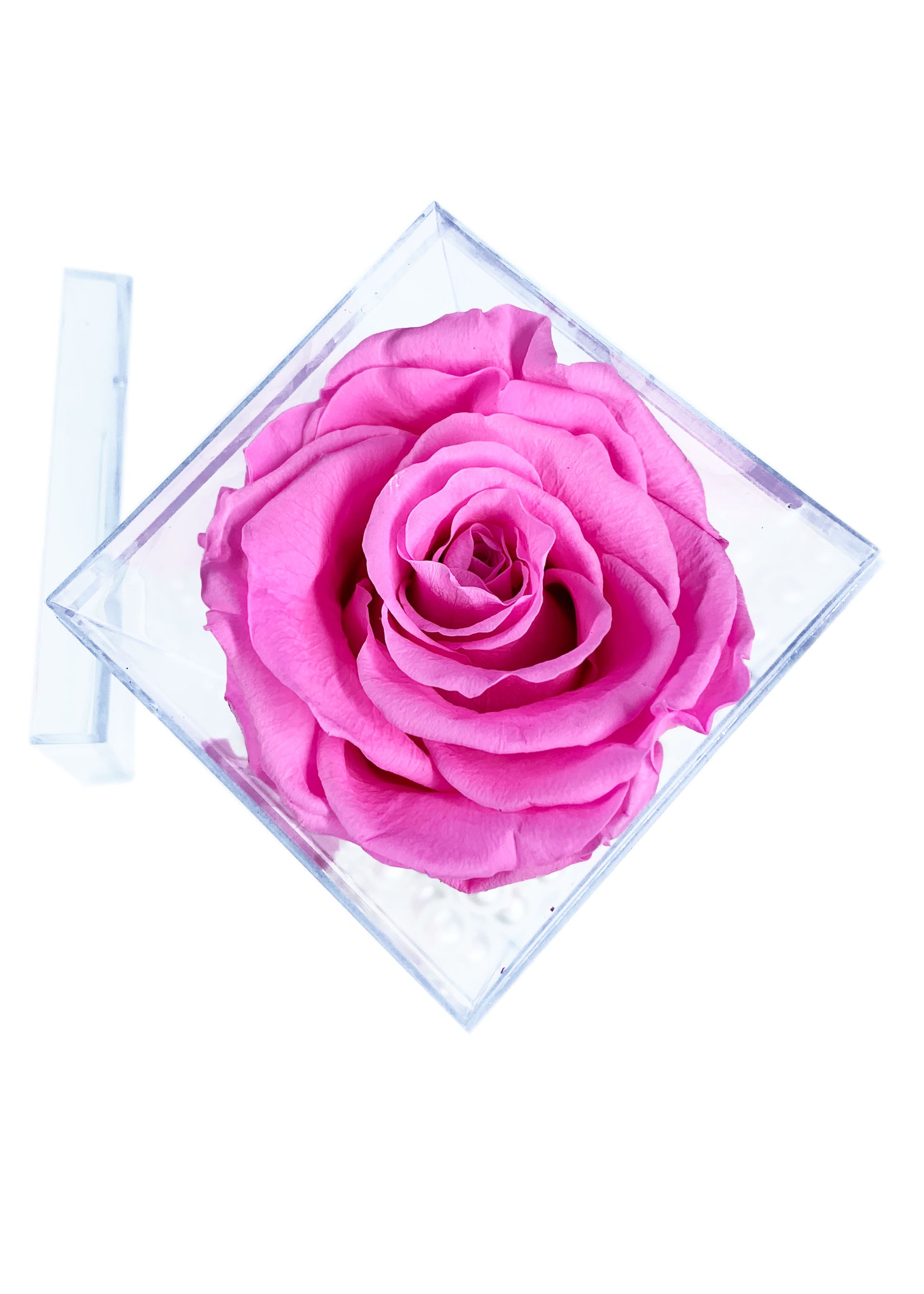 Tall Cube - Single Preserved Rose - forever roses store 