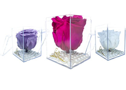 Tall Cube - Single Preserved Rose - forever roses store 