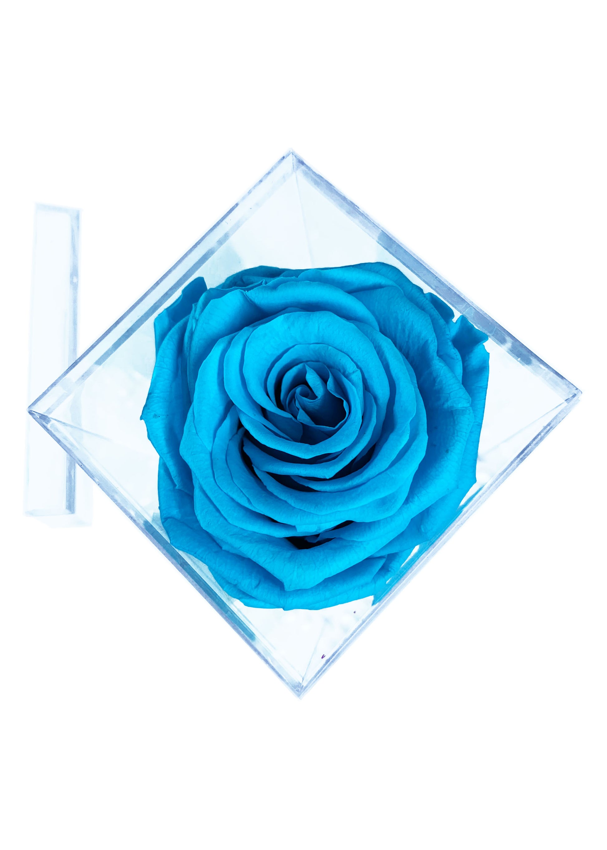 Tall Cube - Single Preserved Rose - forever roses store 