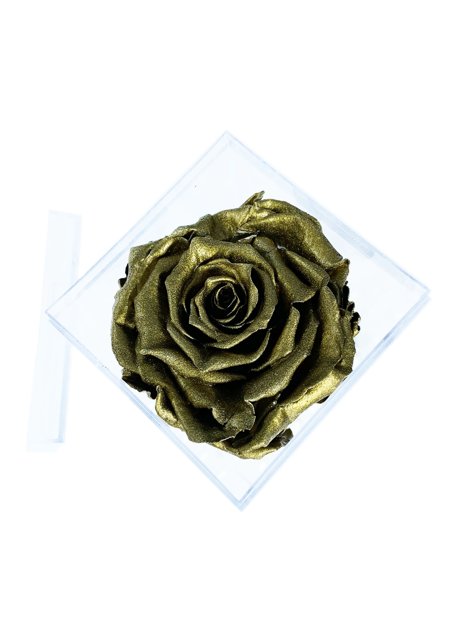 Tall Cube - Single Preserved Rose - forever roses store 